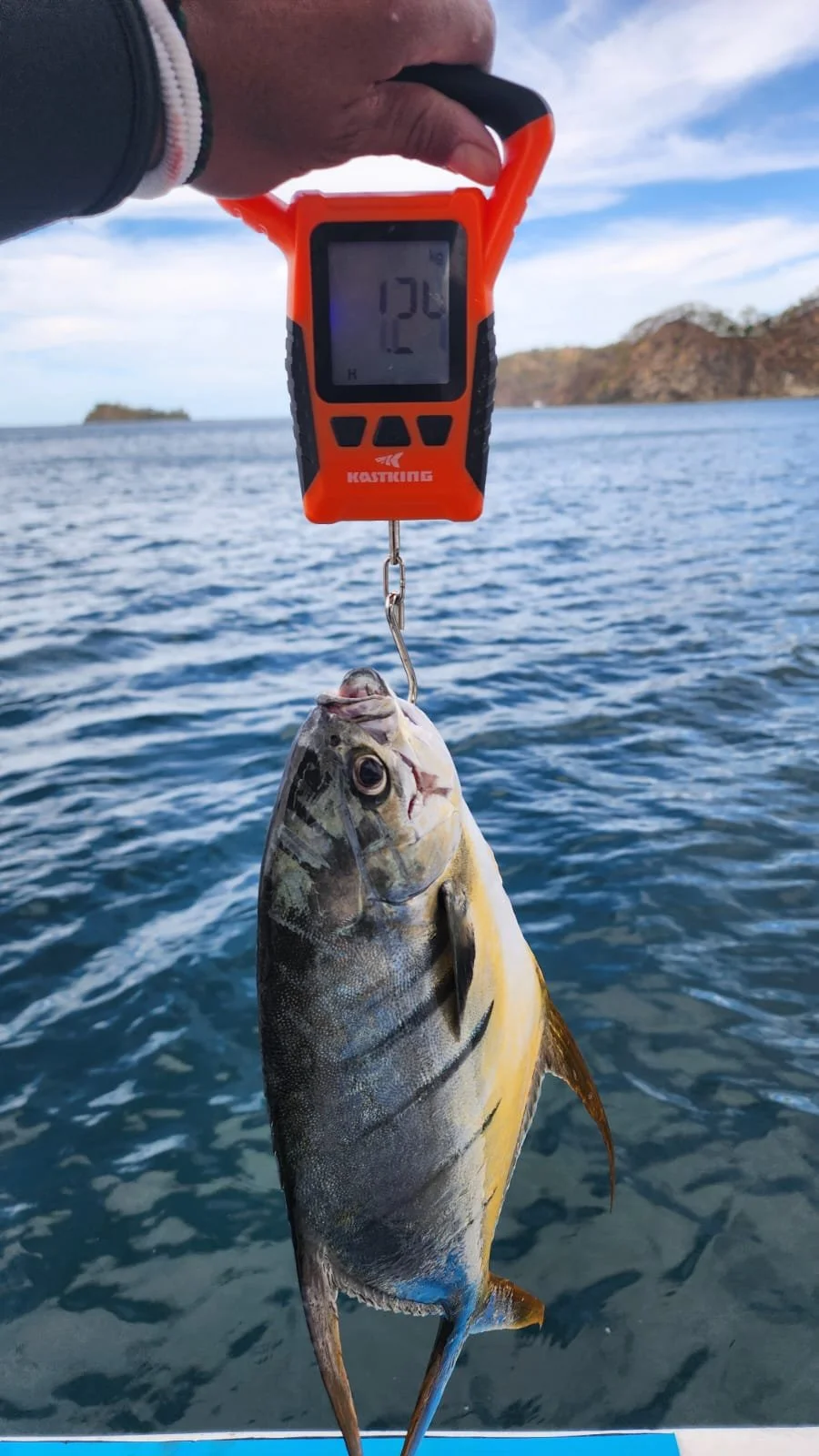 WhatsApp Image 2025-02-12 at 16.03.13_232a35a9.jpg