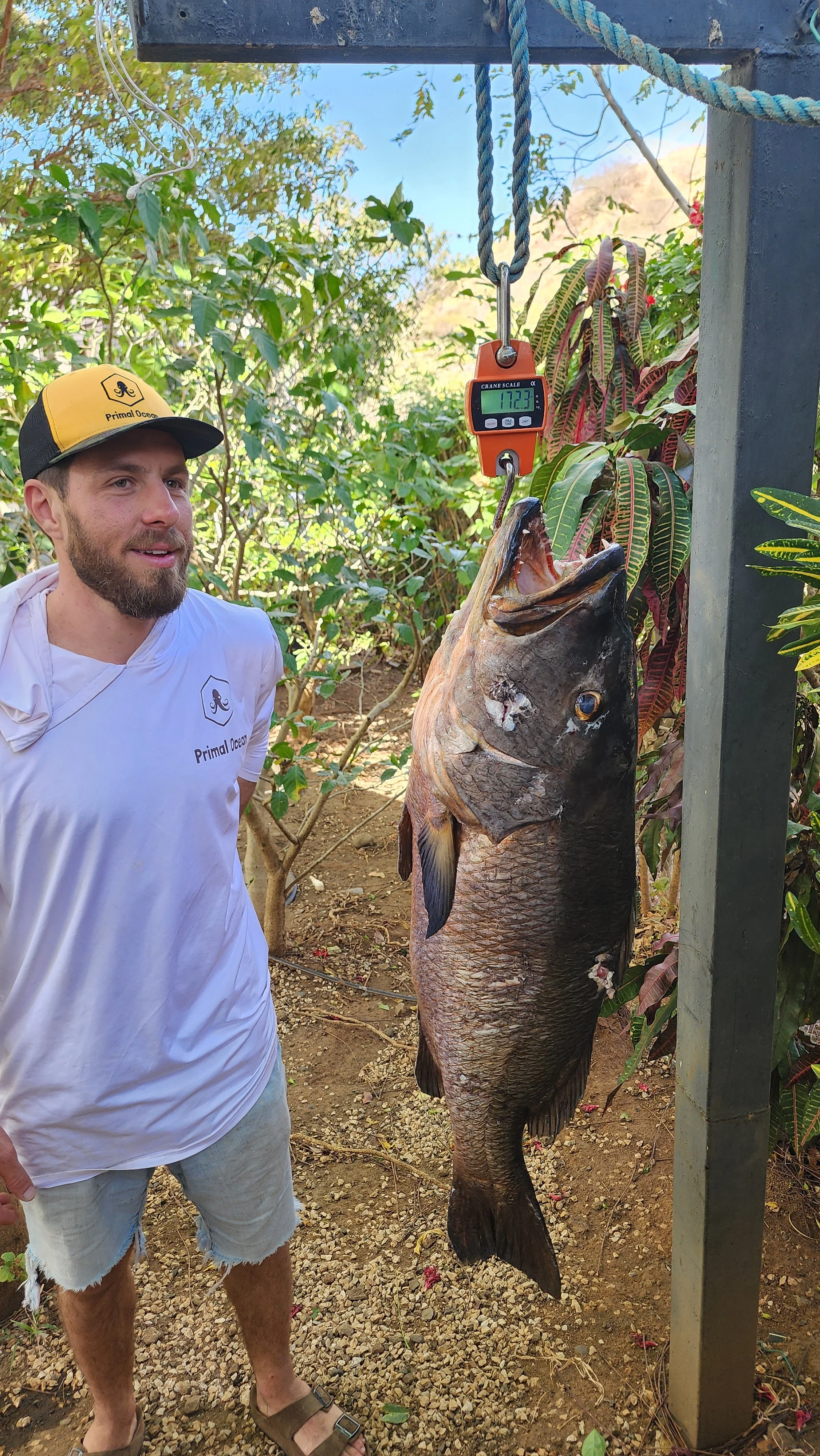 Spearfisher on Altum's boat the Sick Love on an open spearfishing tour in Flamingo Bay, Costa Rica holding a freshly caught Goliath Grouper. Private Reef Charter, Blue Water, Tuna, Grouper, Wahoo, Trevally, Snapper, Pompano, Potrero, Tamarindo