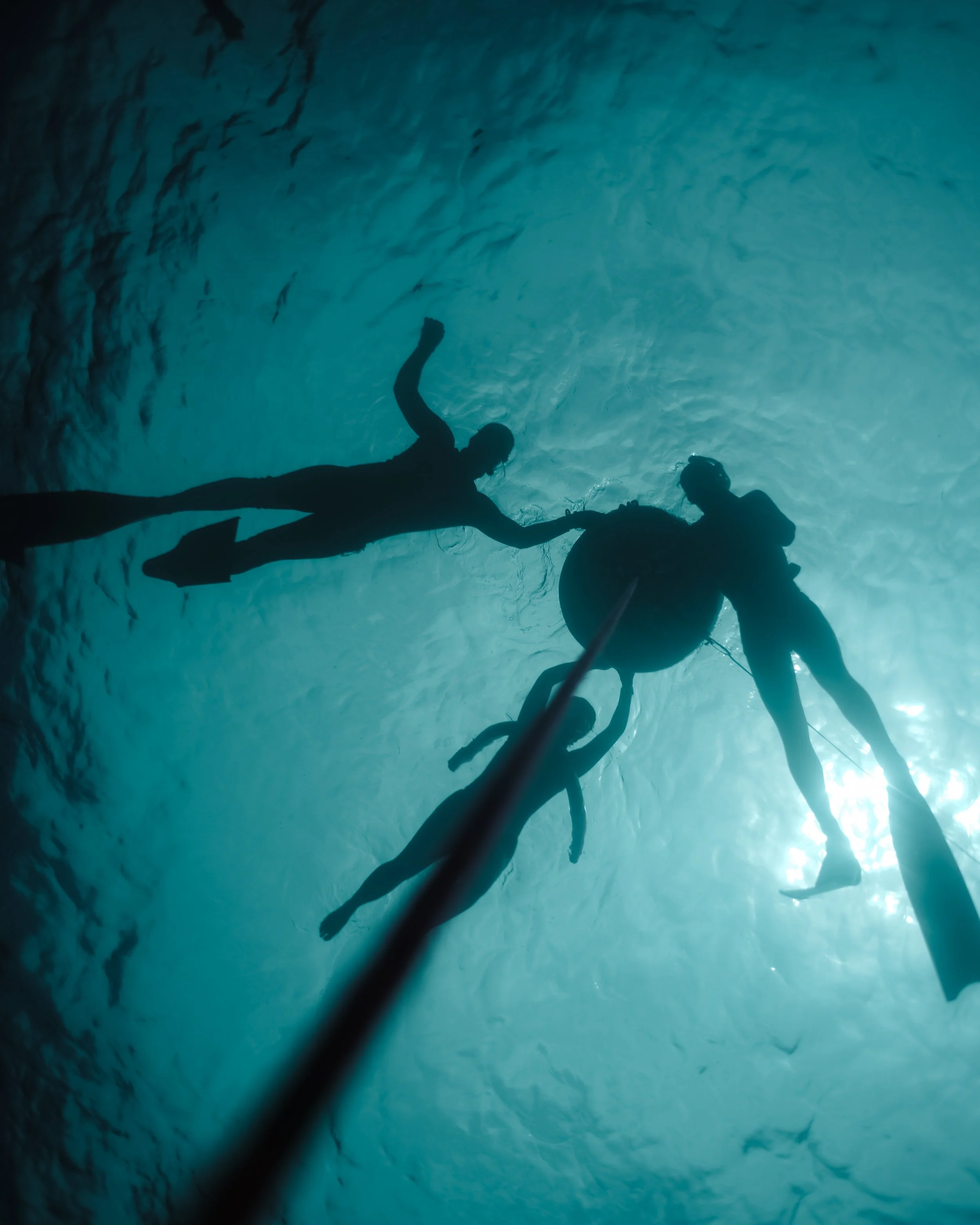 gazing up toward the ocean's surface from a depth of 10 meters, the silhouettes of other freedivers lit by a bright tropical sun