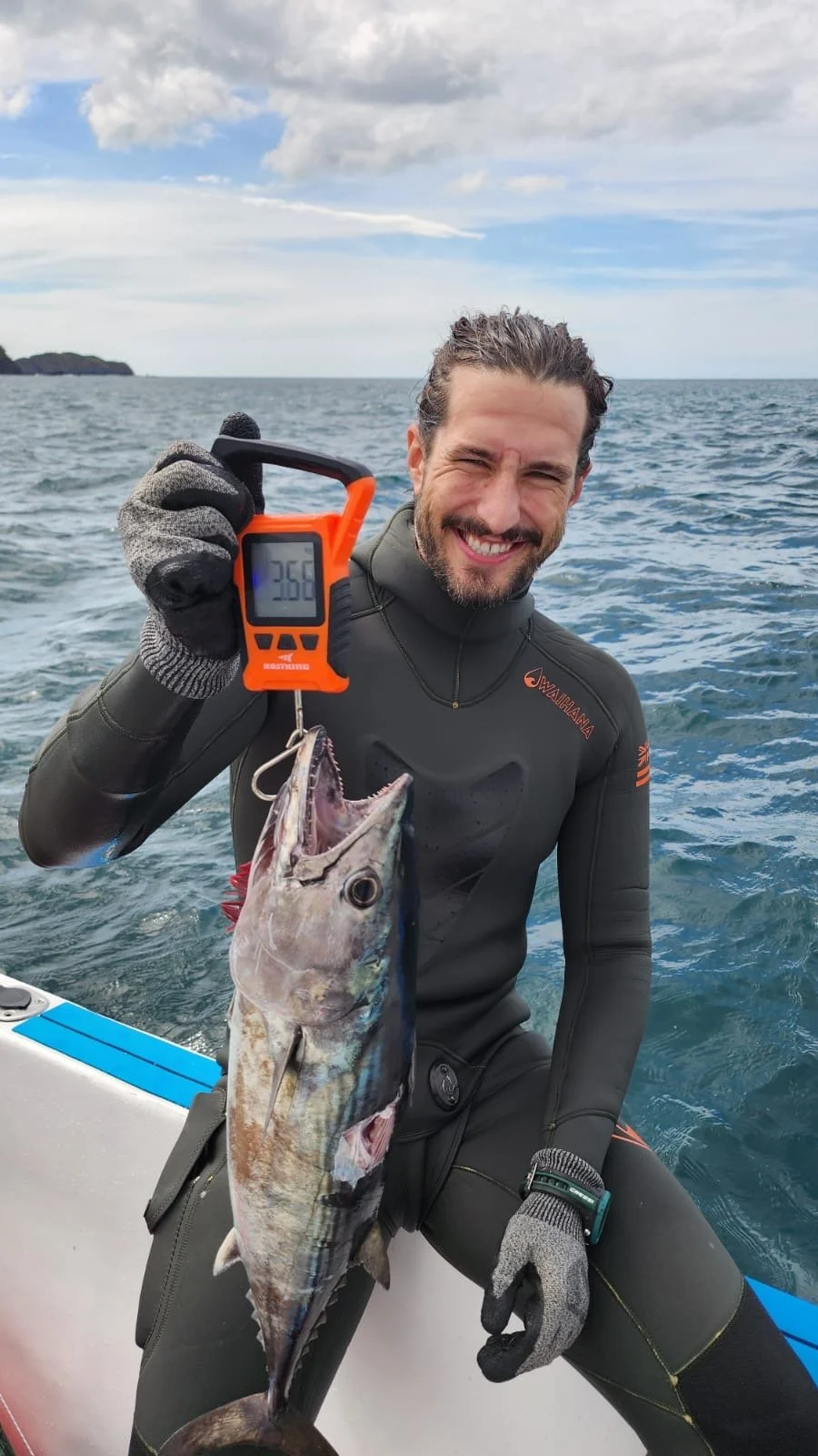 TunaMackerel Taylor.JPG