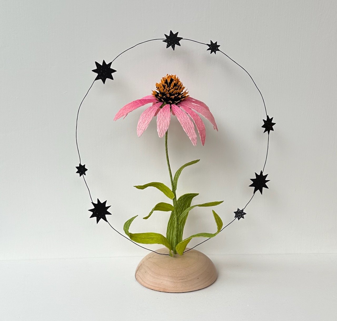 Coneflower with Stars No. 02
