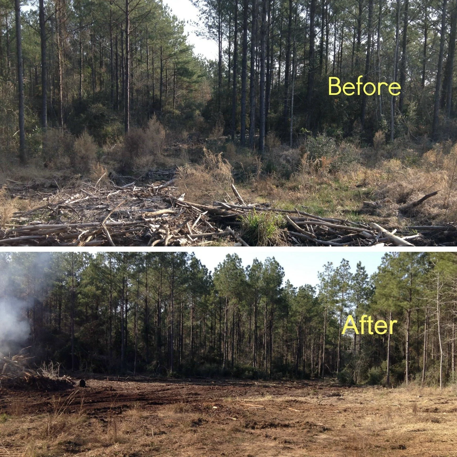 Site Clean Up 1 1.1.jpg