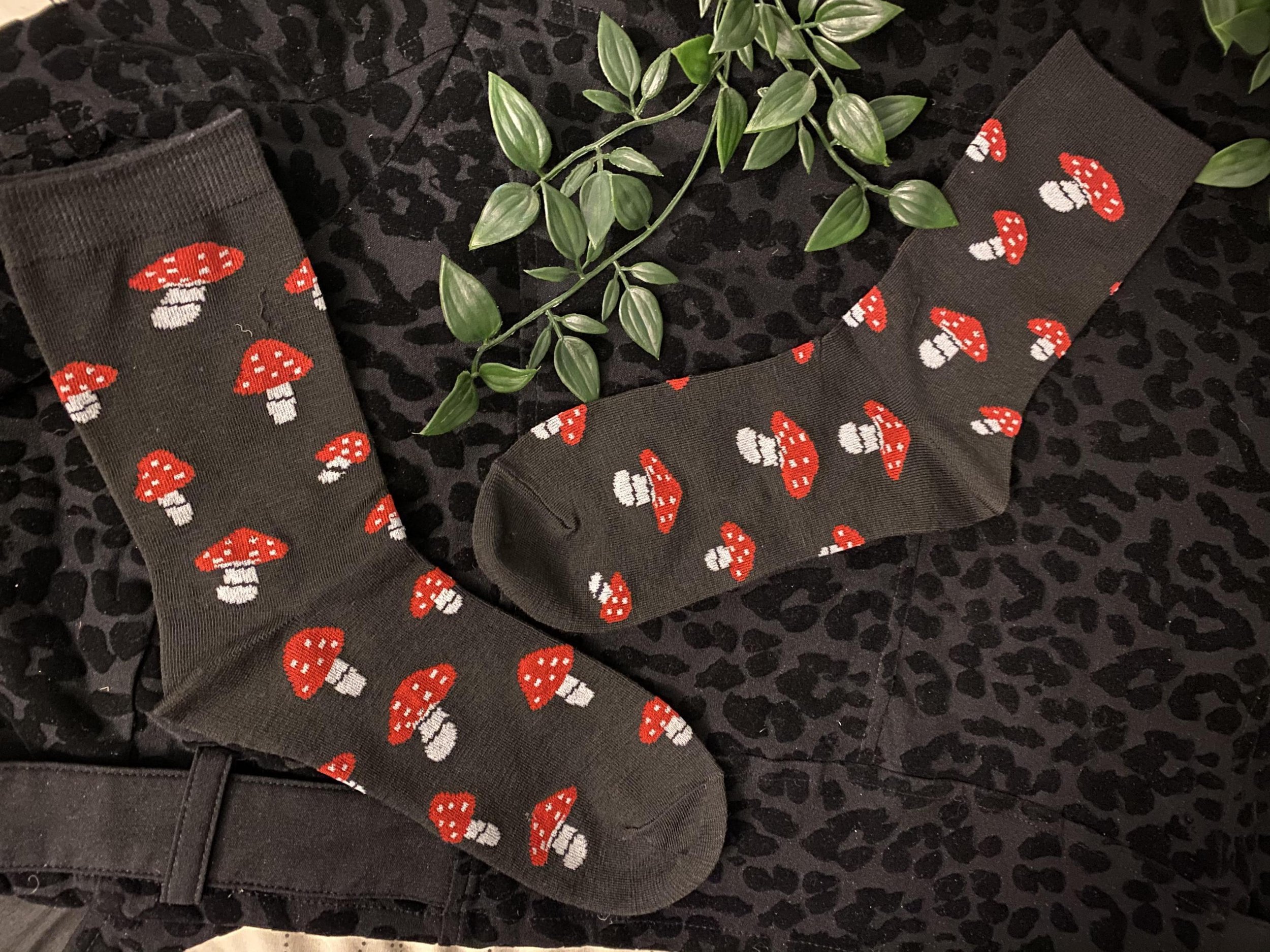 https://i.etsystatic.com/55124438/r/il/a6b120/6336711380/il_fullxfull.6336711380_dt1i.jpg