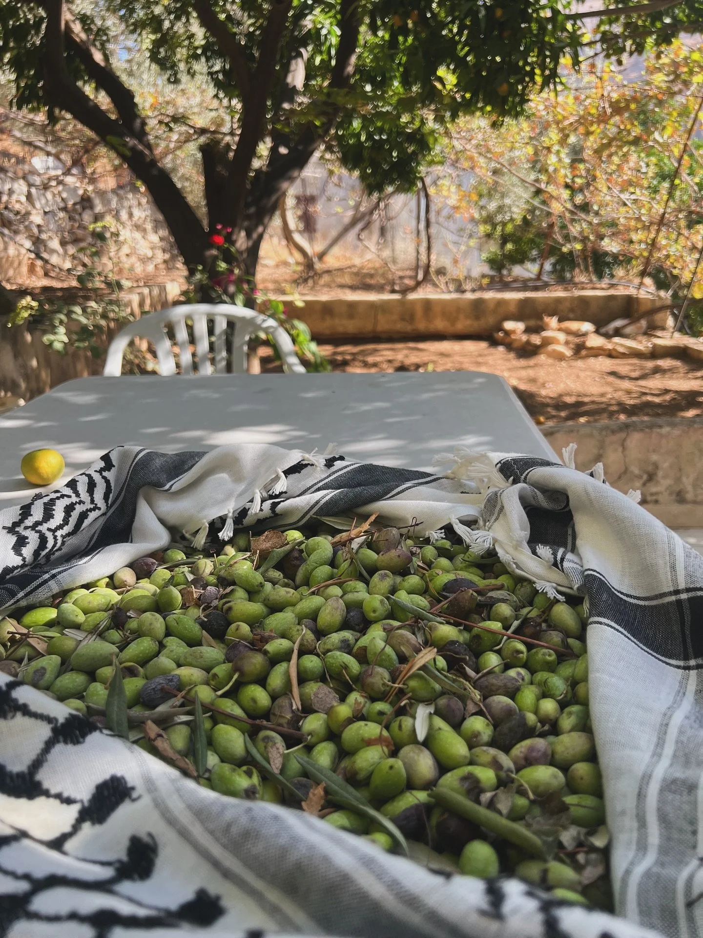Hej k&auml;ra g&auml;ster! ❤️
Vi h&aring;ller st&auml;ngt idag och imorgon (Tisdag &amp; Onsdag) p&aring; grund av renovering i k&ouml;ket men &ouml;ppnar vi igen p&aring; torsdag som vanligt! 

Ses d&aring; ✨