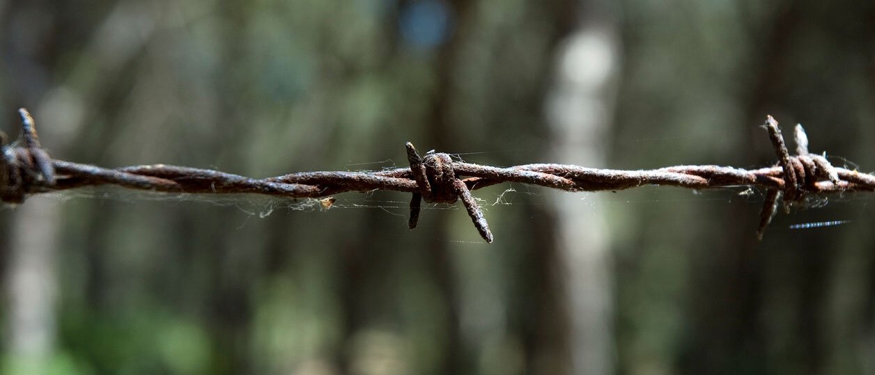 Former Nazi Labor Camp Guard Removed to Germany by ICE