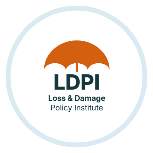 Loss and Damage Policy Institute