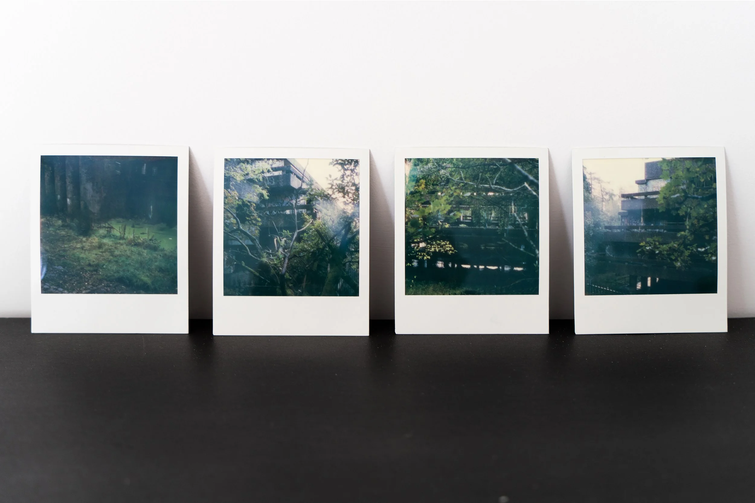 Neal polaroids.jpg