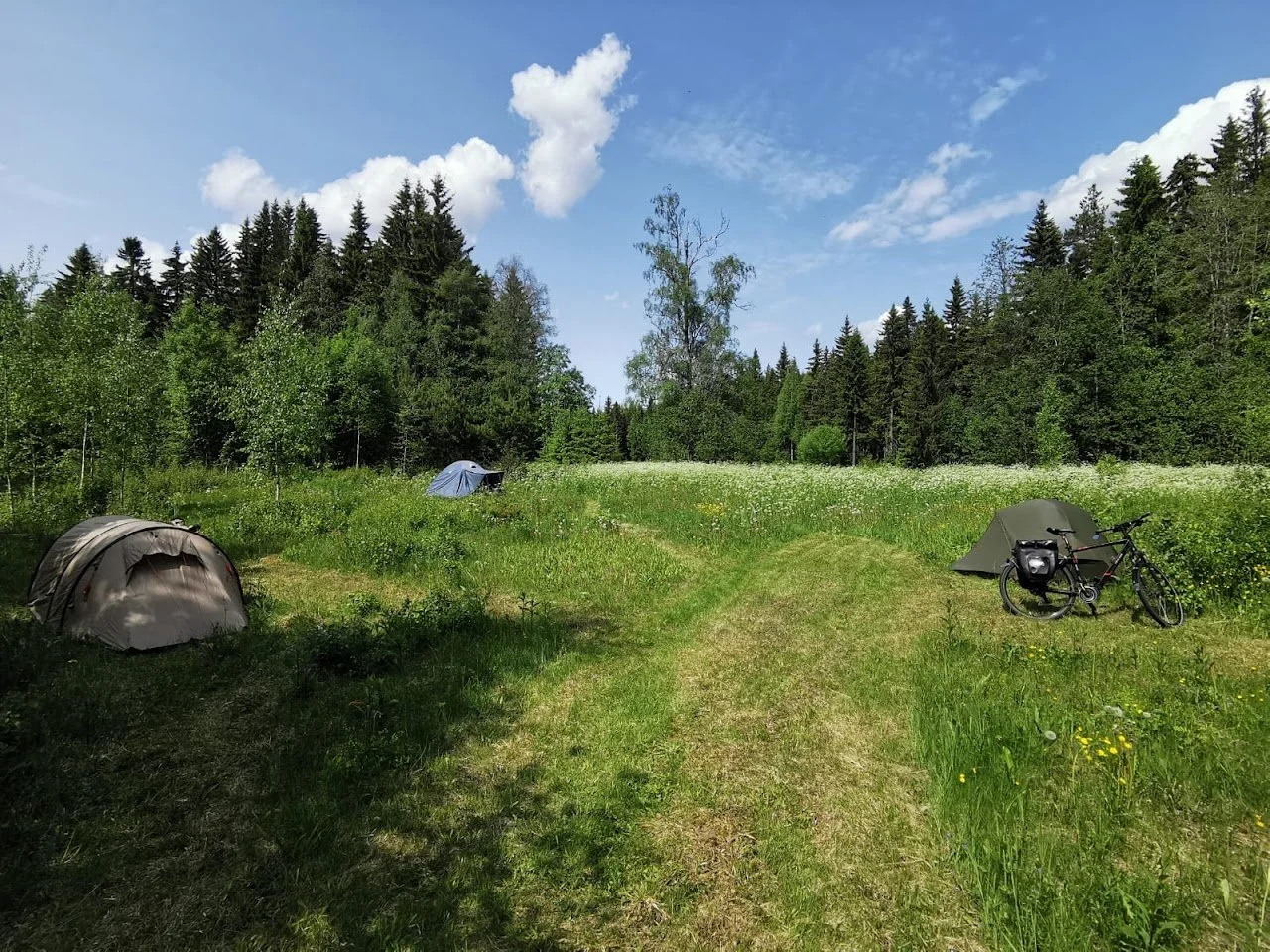 Leirintämökkejä ja polkupyörä luonnon keskellä, kaksi telttaa ja polkupyörä green niityllä ja metsän taustalla, sininen taivas ja pilvet yllä. Kuva on Suomesta.