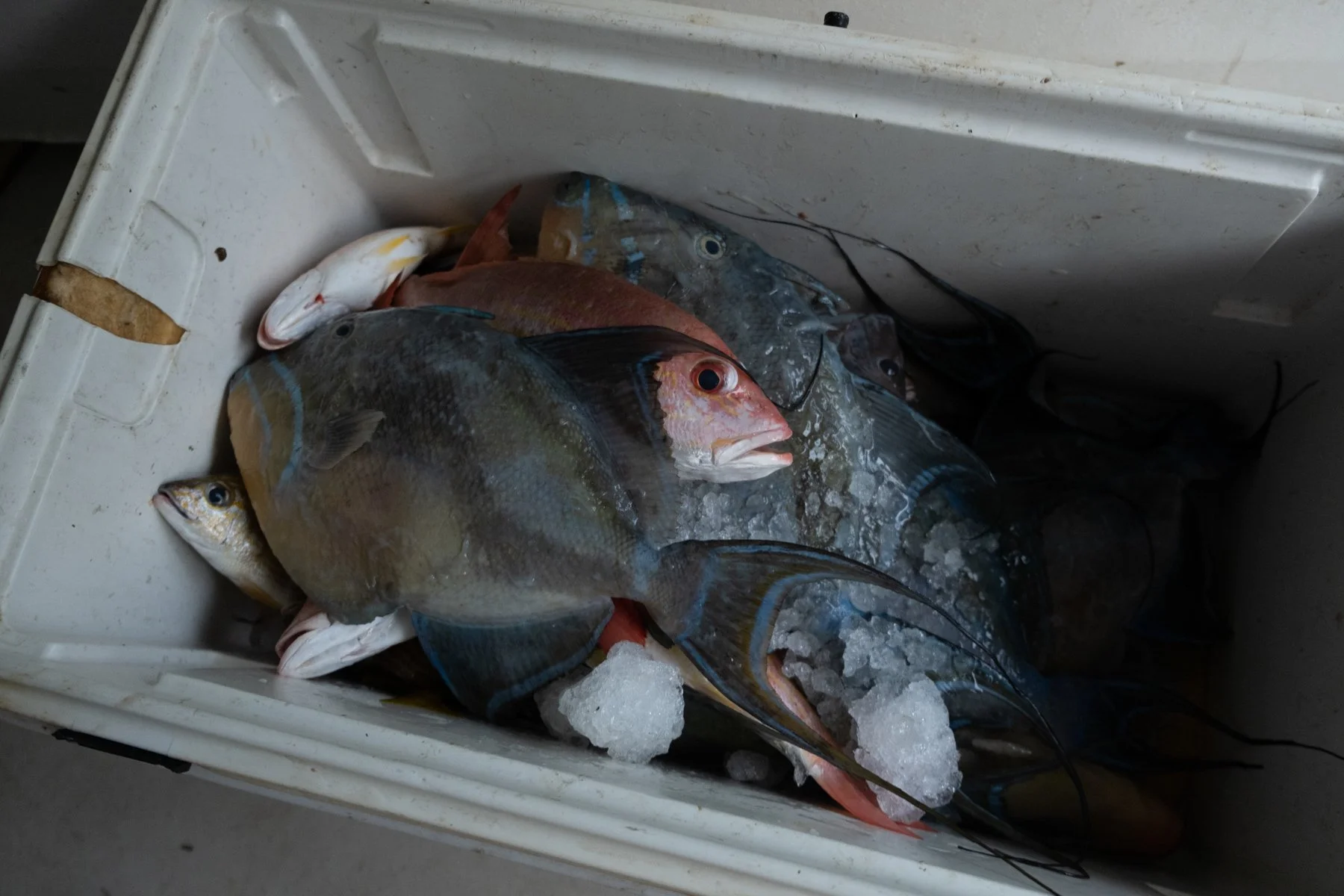2024_MML_SBH_fishermen_06.JPG