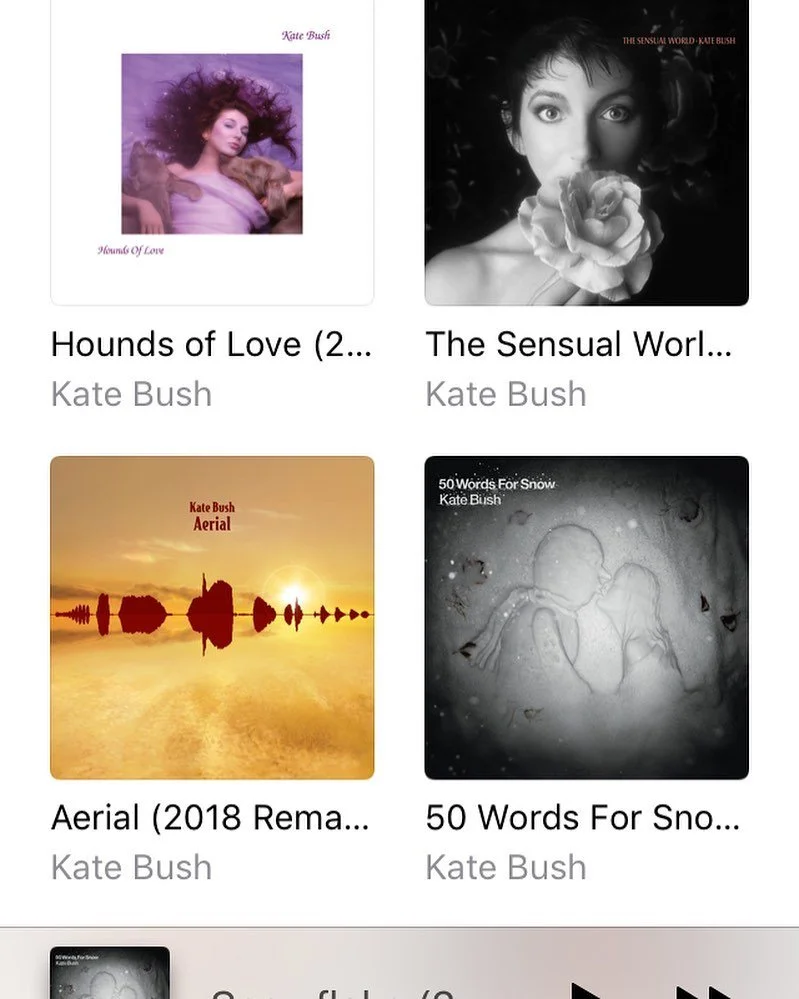 Sometimes life presents pure joy and you don&rsquo;t have to reach for it. It&rsquo;s difficult to describe the sensation and enlightenment that comes with  discovering the work of Kate Bush. It took me a while, I didn&rsquo;t quite get it at first, 