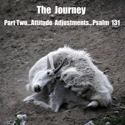 The Journey: Attitude Adjustments