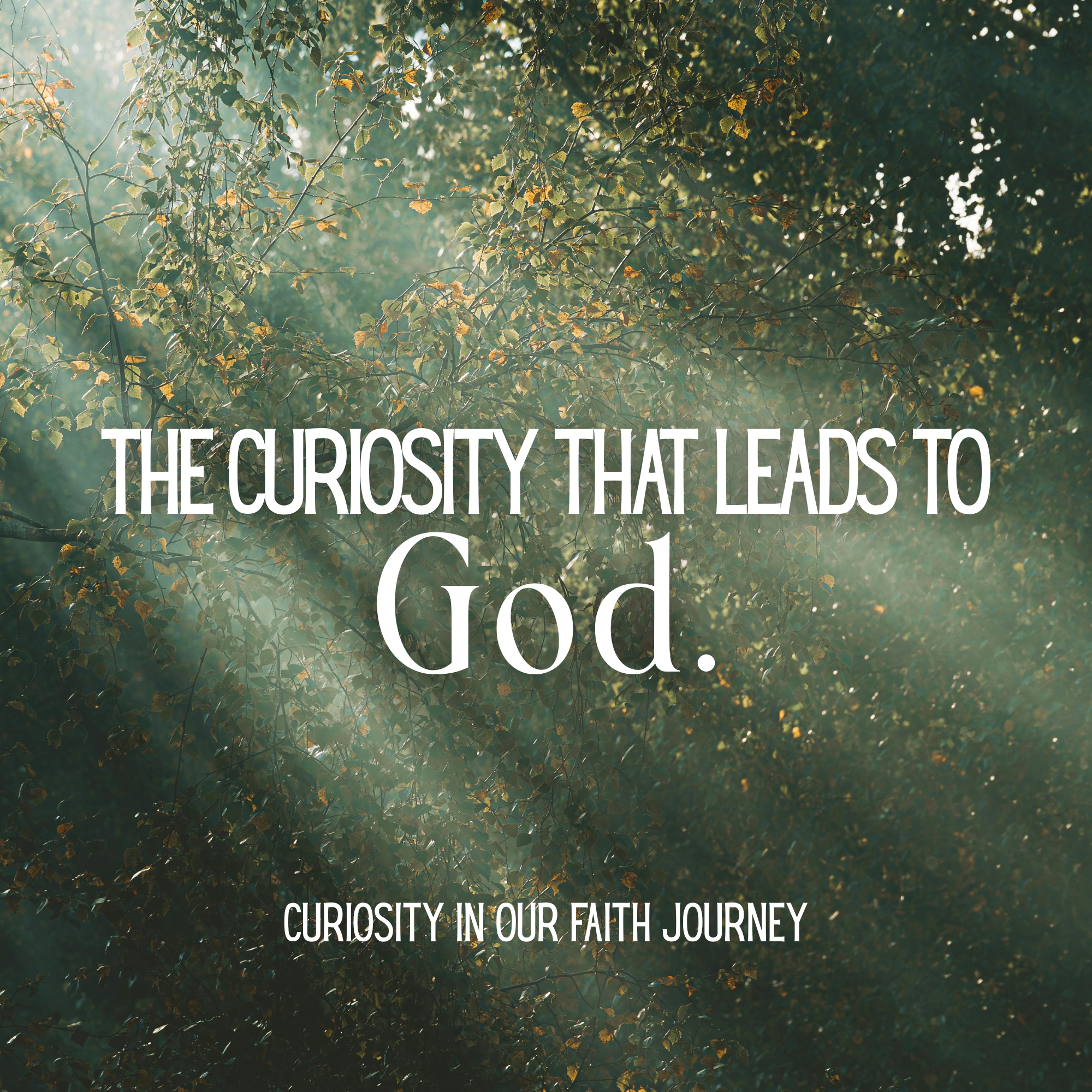 Curiosity on our Faith Journey: The Curiosity That Leads To God