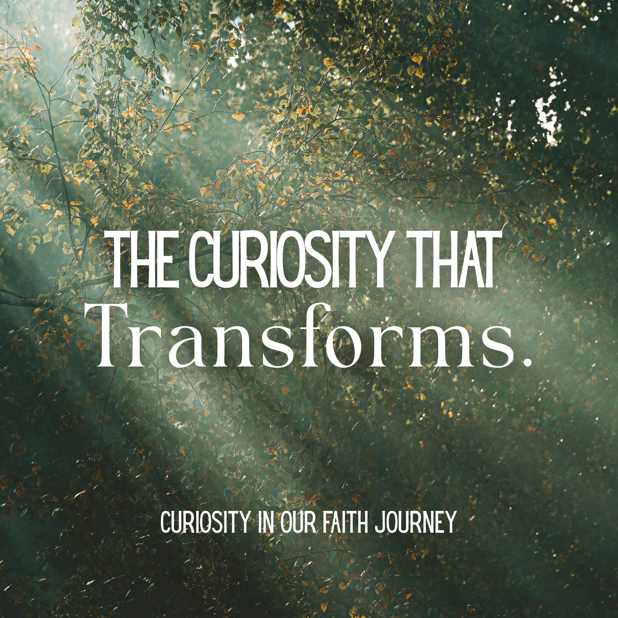 Curiosity on our Faith Journey: The Curiosity That Transforms