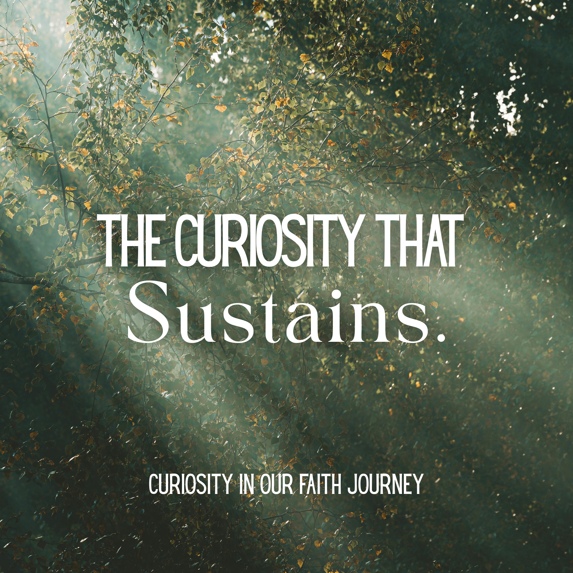 Curiosity on our Faith Journey: The Curiosity That Sustains