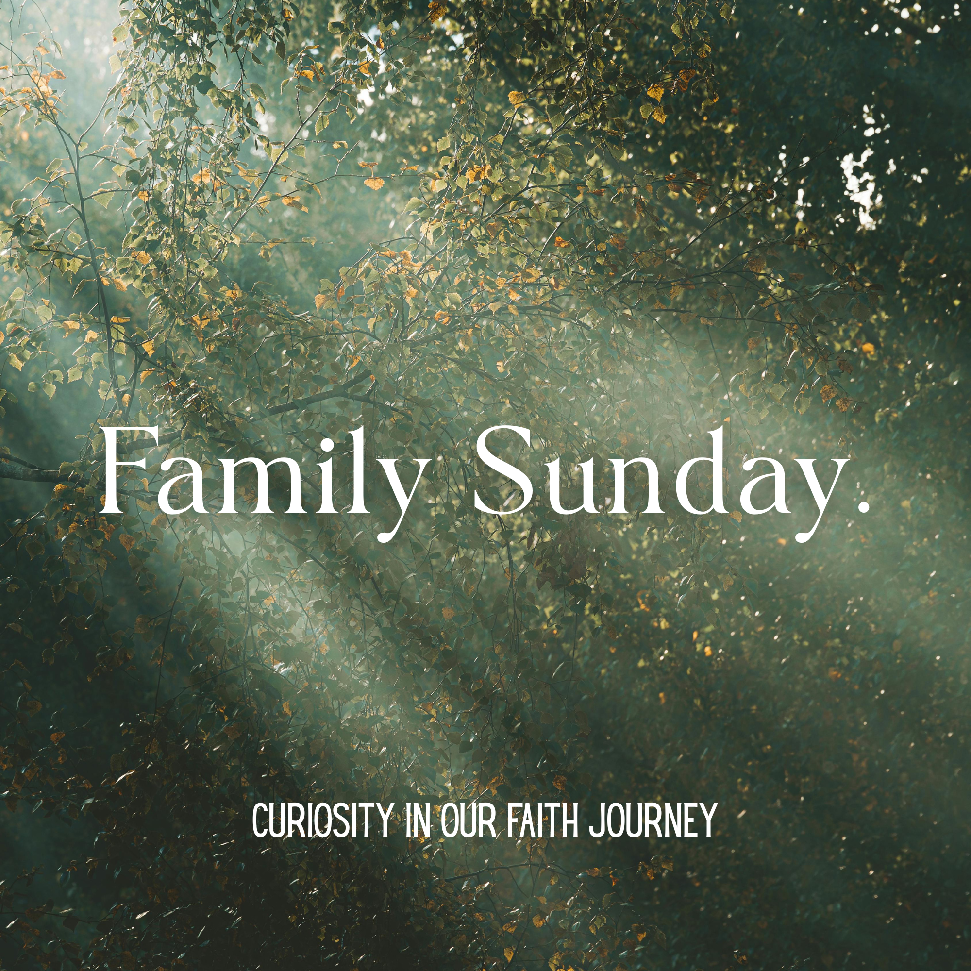 Curiosity on our Faith Journey: Family Service