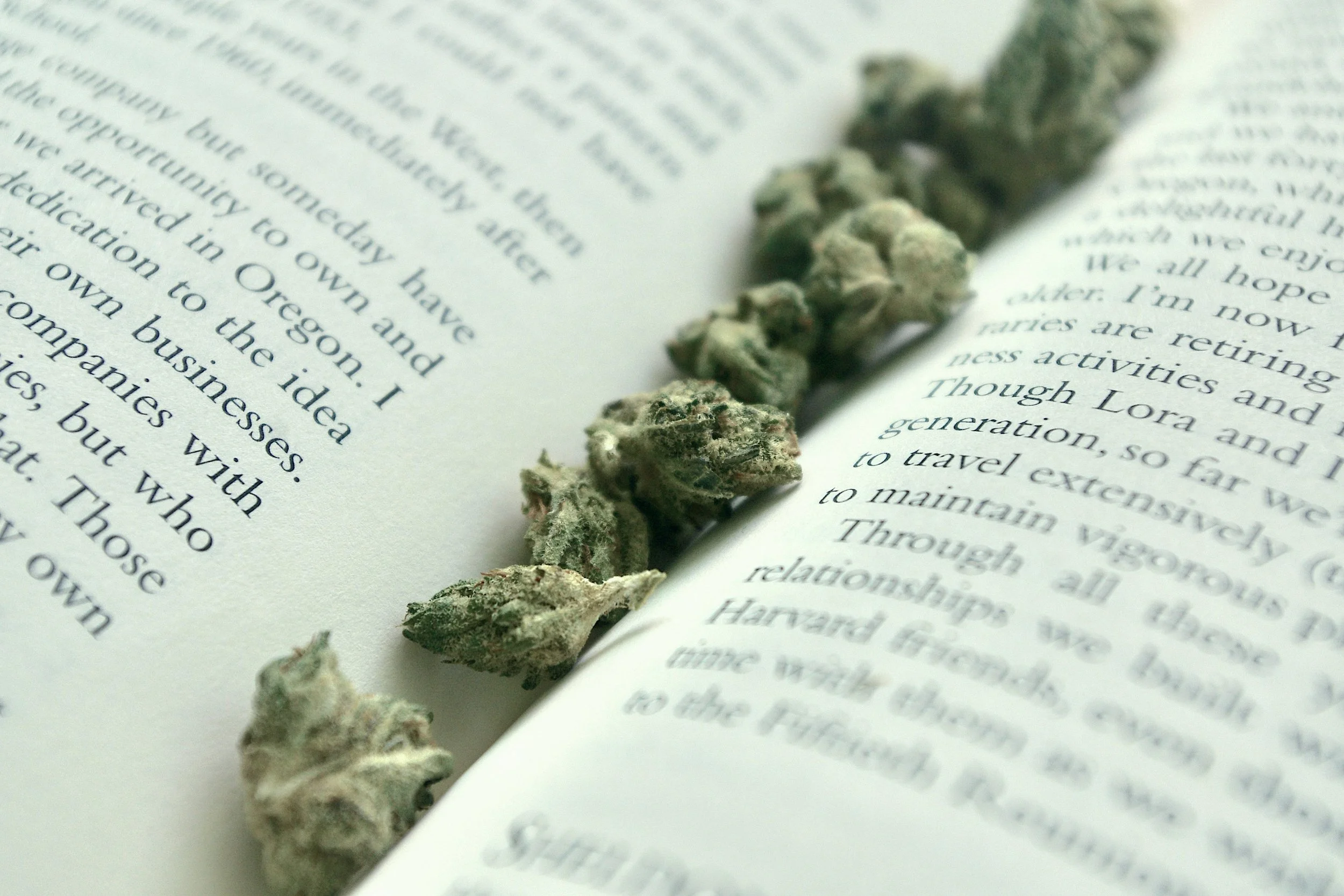 Quoted in the Wall Street Journal: My Take on Cannabis and Pregnancy Reporting