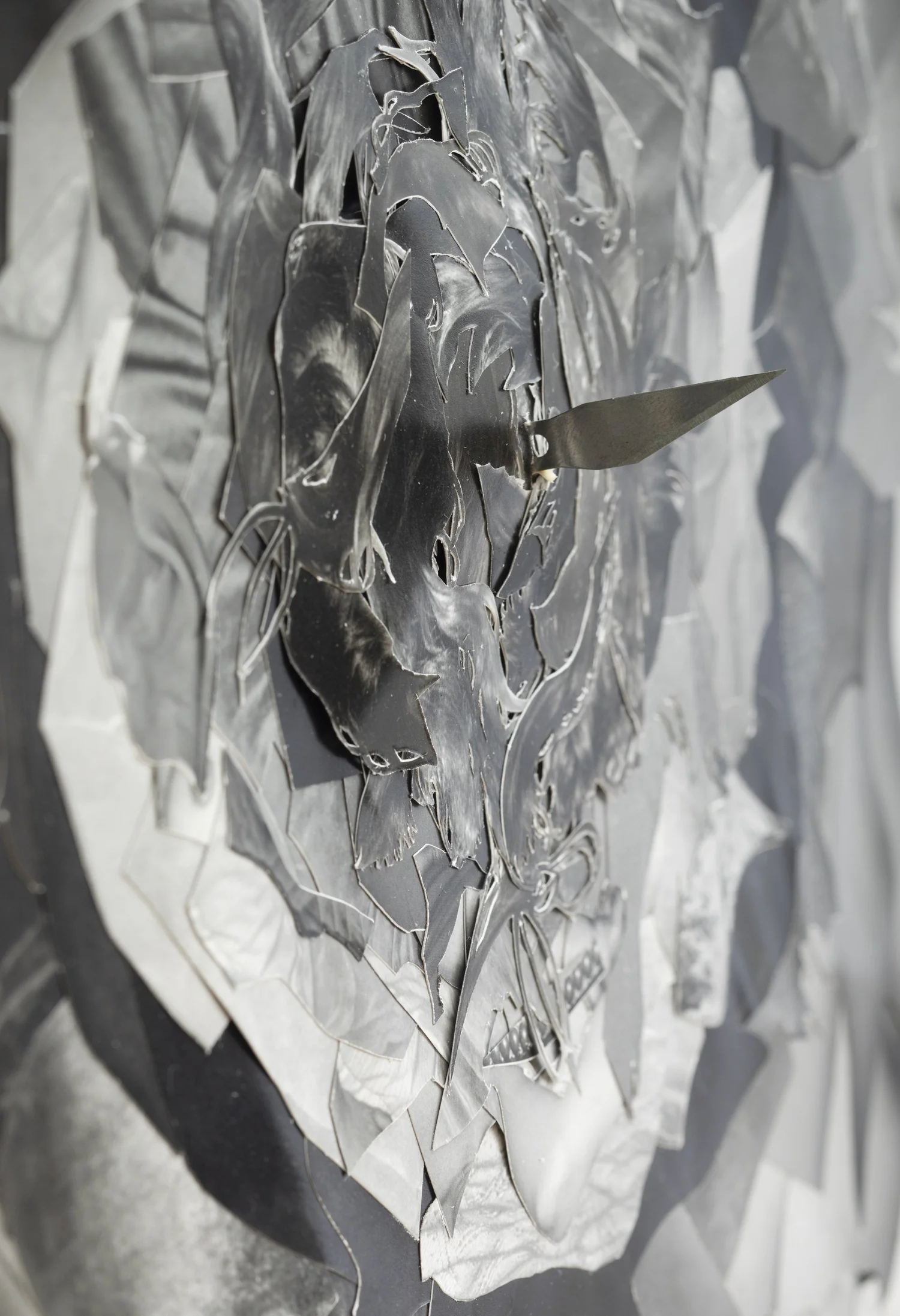 Collage Razor SCUMB (2019–ongoing) — Justine Kurland