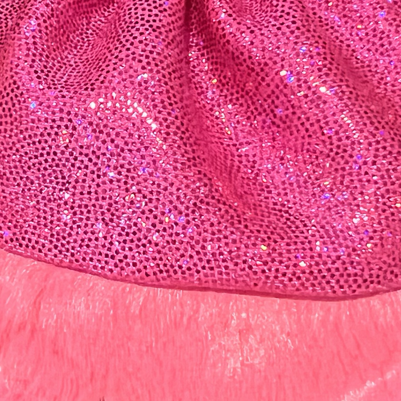 closeup bd cat.png