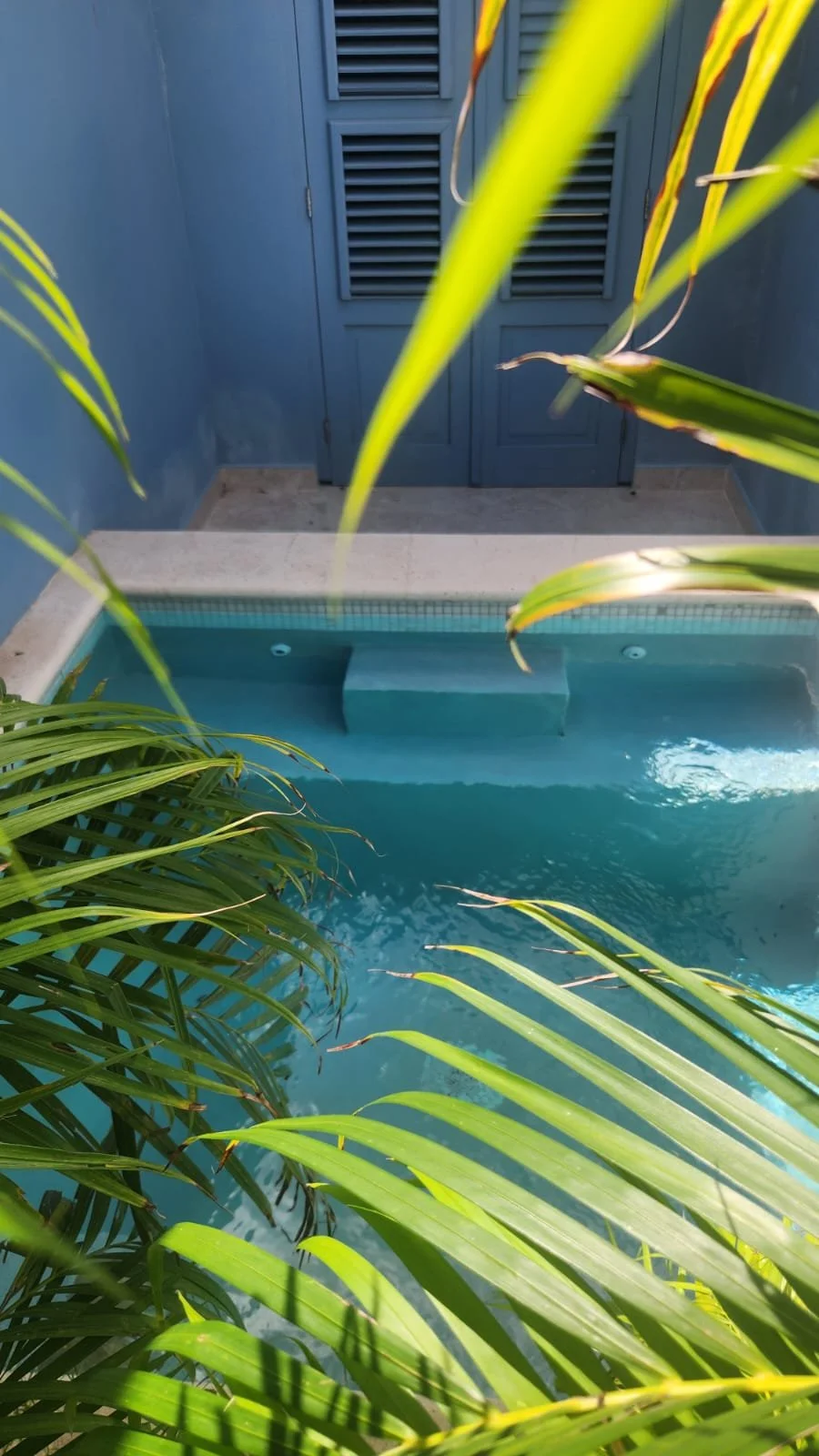 WhatsApp Image 2026-01-12 at 13.35.00 (4).jpeg