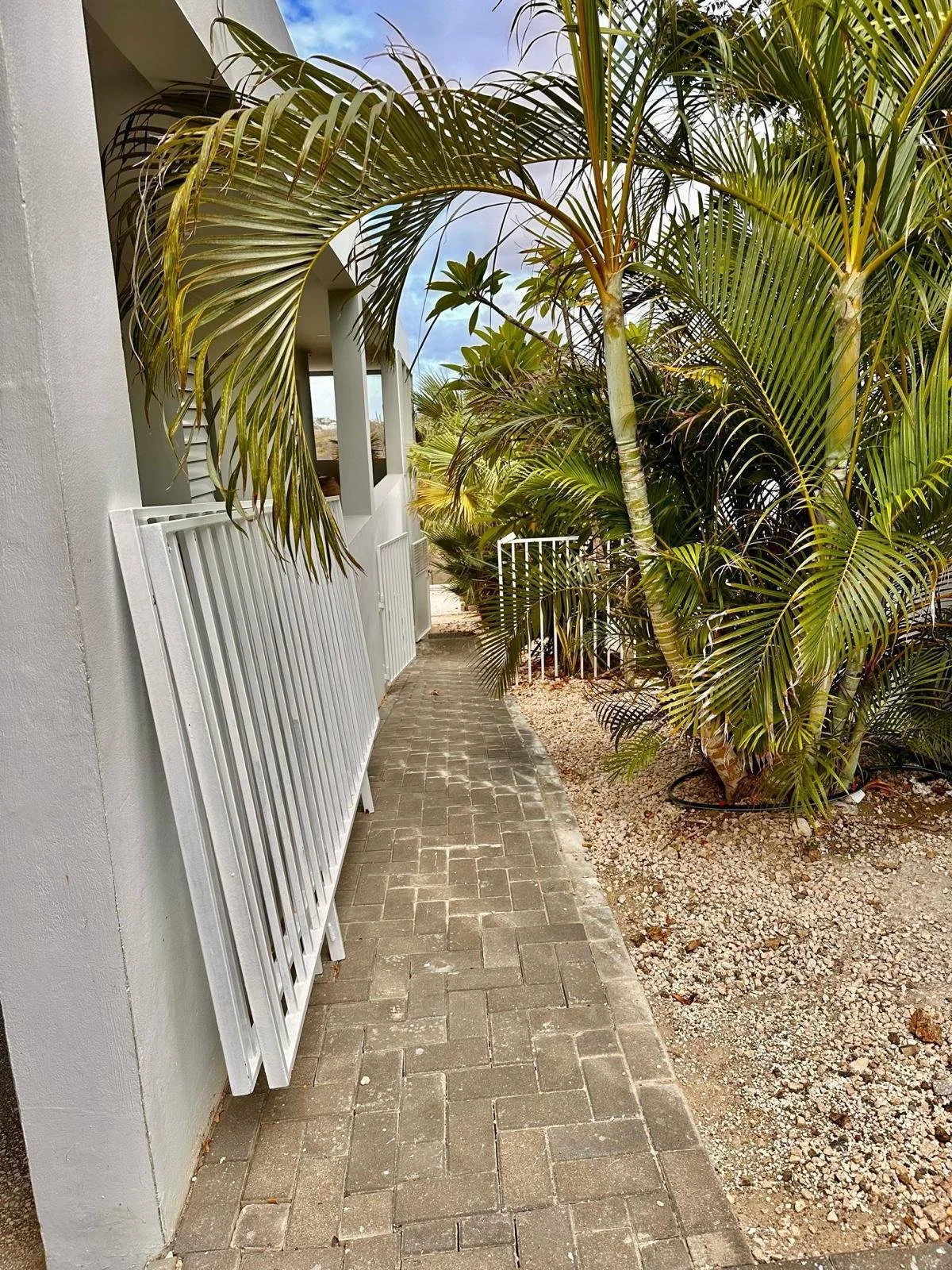 WhatsApp Image 2024-05-27 at 10.14.13.jpeg