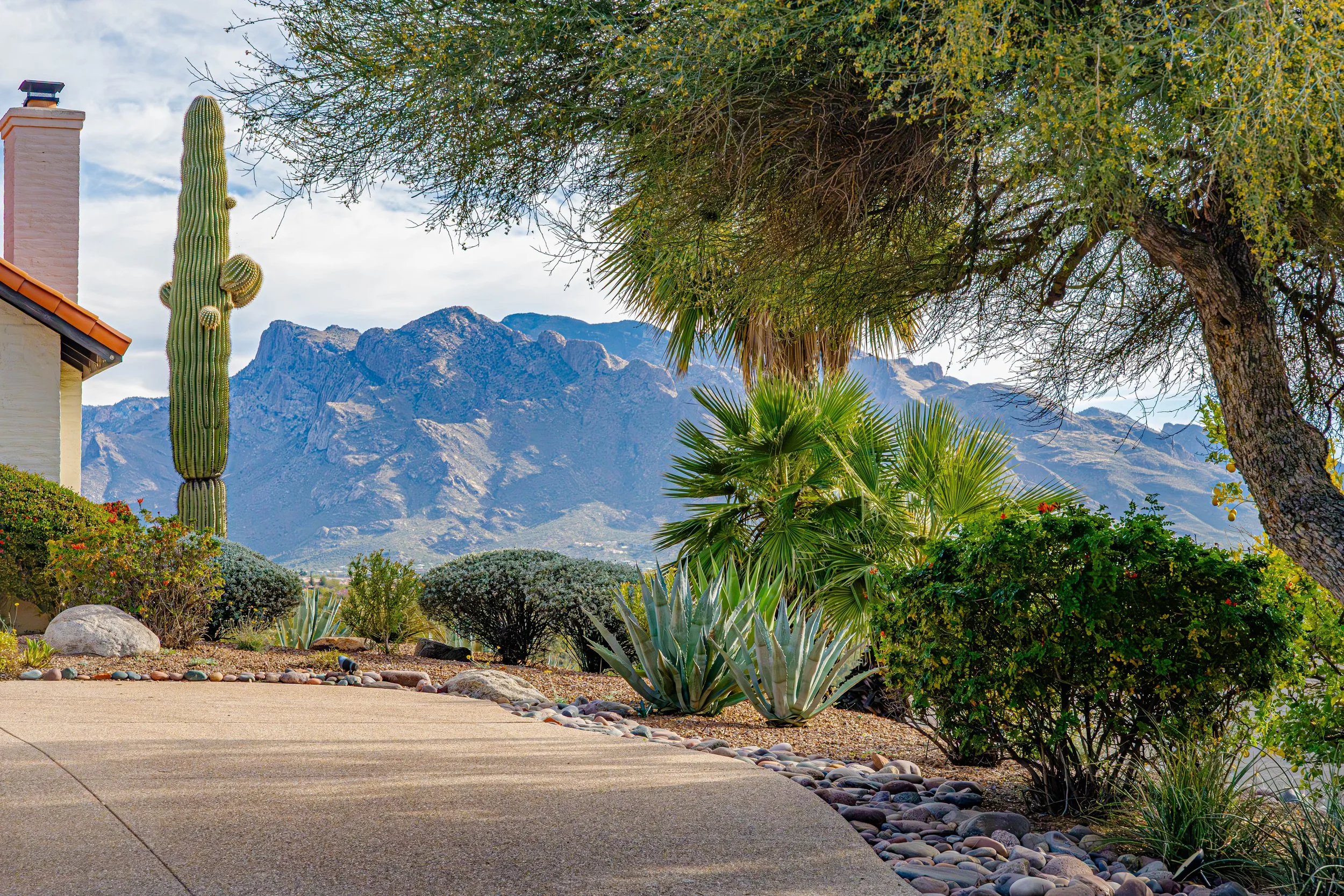 Home in Casas Adobes Tucson Arizona with desert landscaping, saguaro cactus, and Santa Catalina Mountains in the background.
