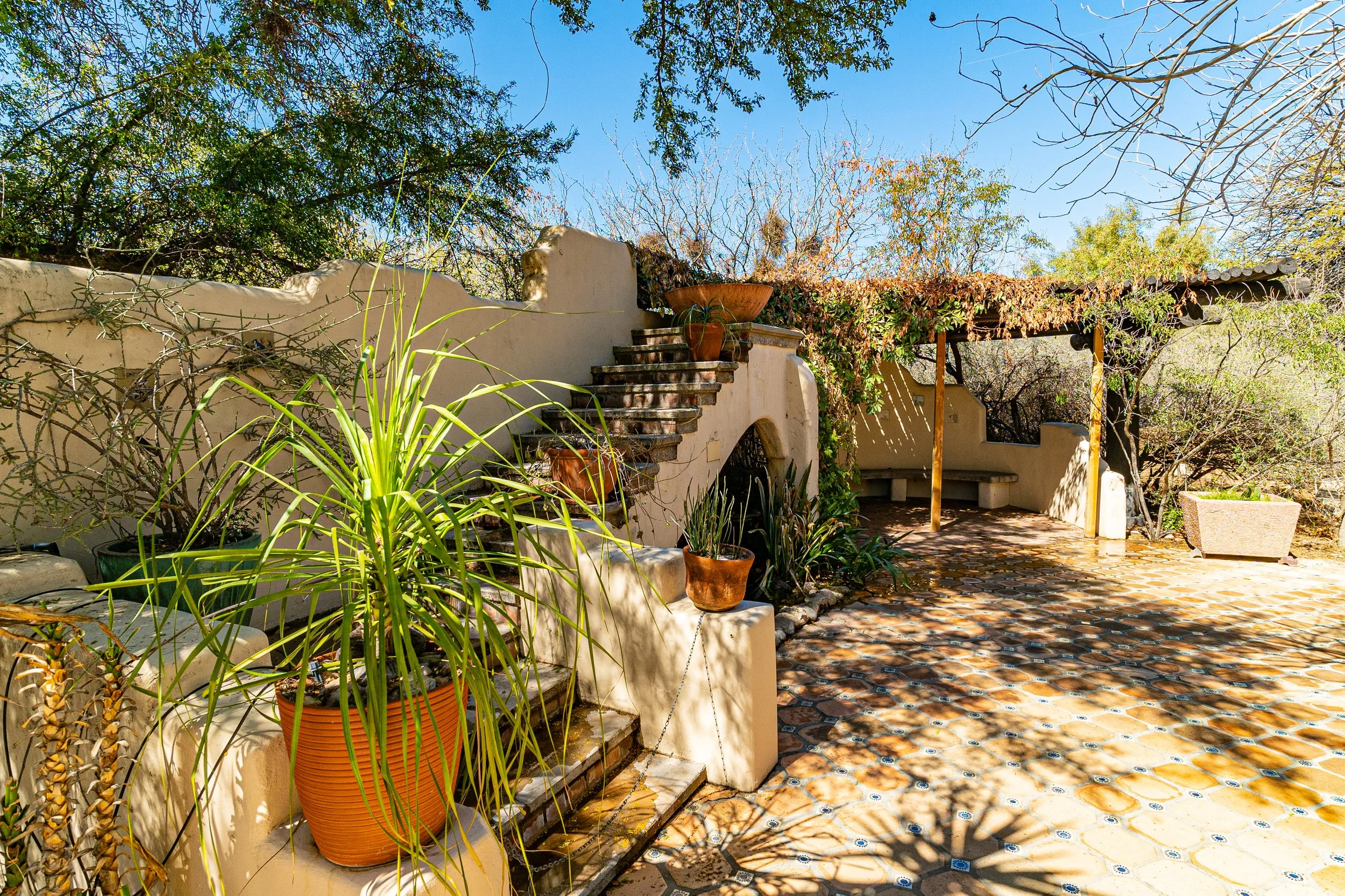 Southwestern courtyard with desert plants and adobe architecture at Tohono Chul in Tucson, Arizona.