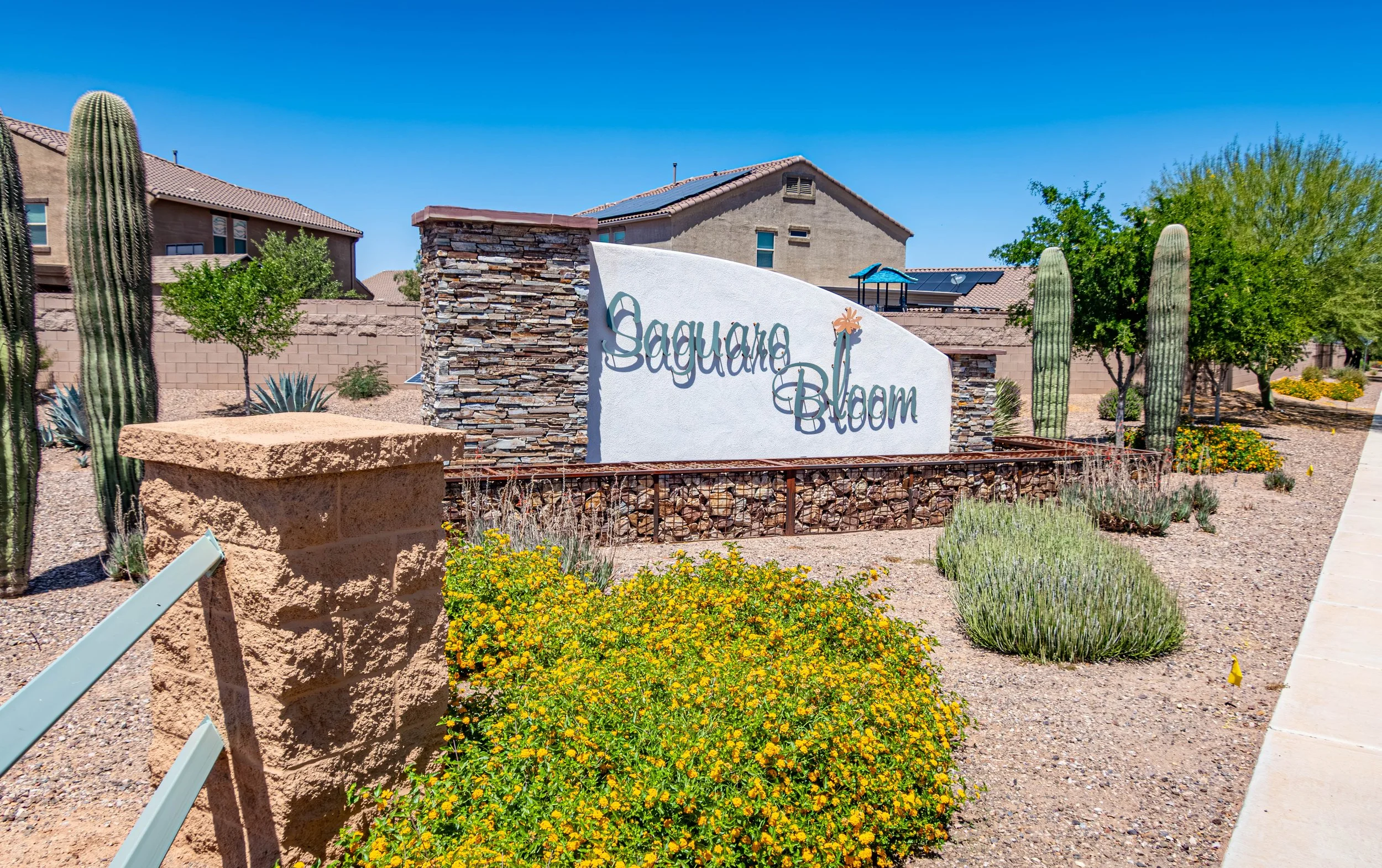 Photo of the Saguaro Bloom neighborhood entrance sign in Marana, Arizona, featuring desert landscaping, cactus plants, and residential homes in the background.