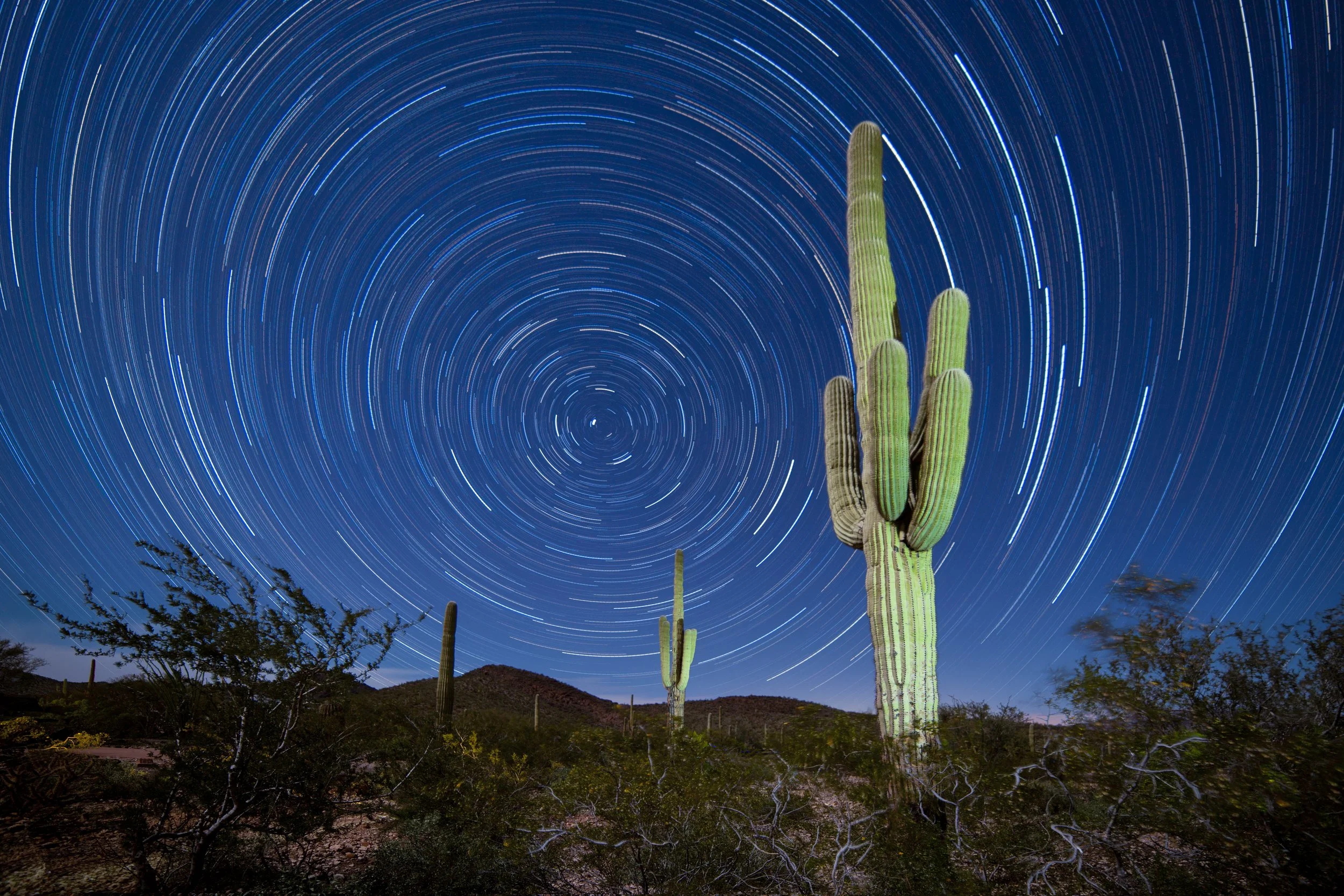 Circular star trails fill a deep blue night sky above tall saguaro cacti and desert hills.