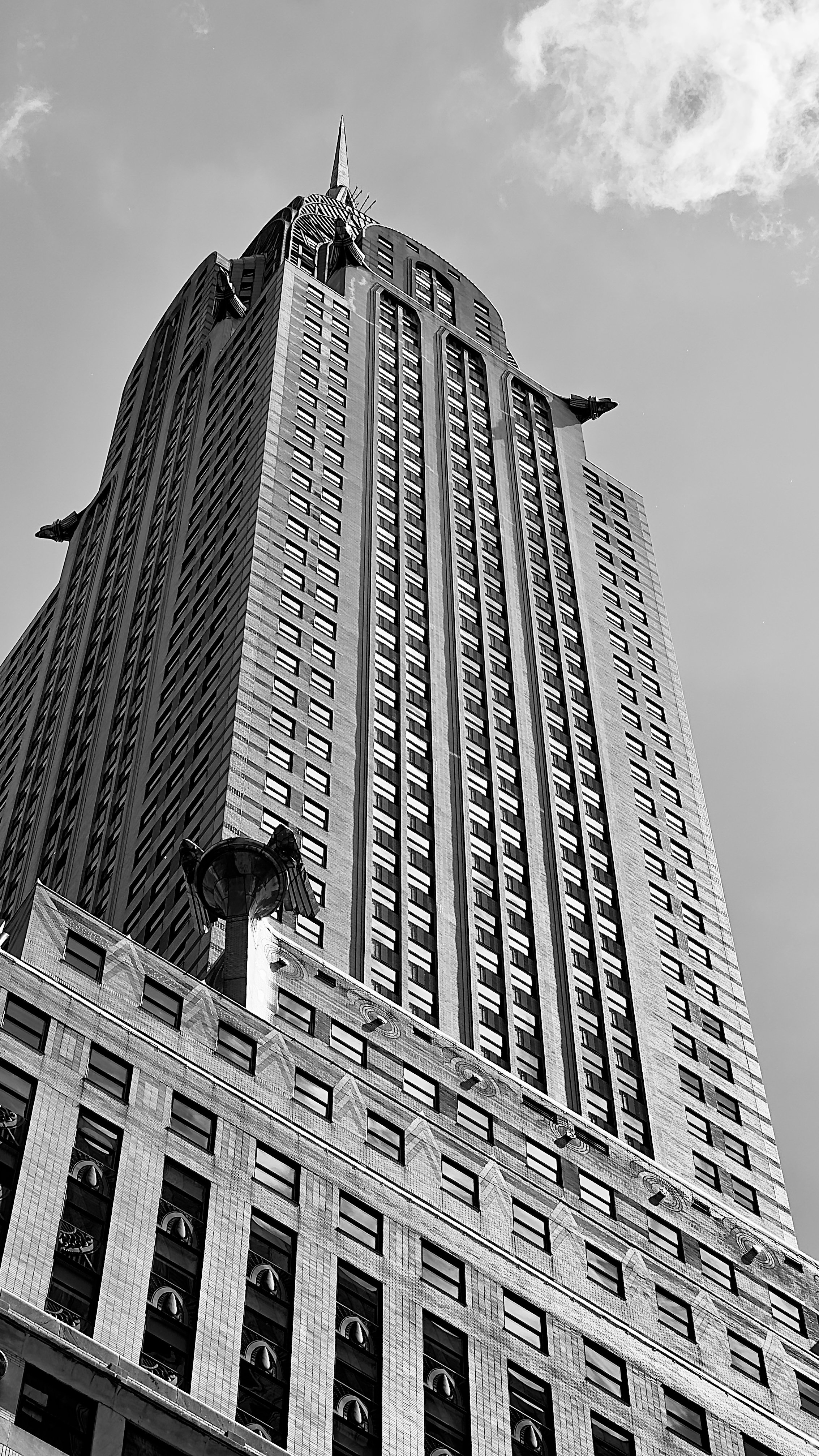 IMG_1233.jpg