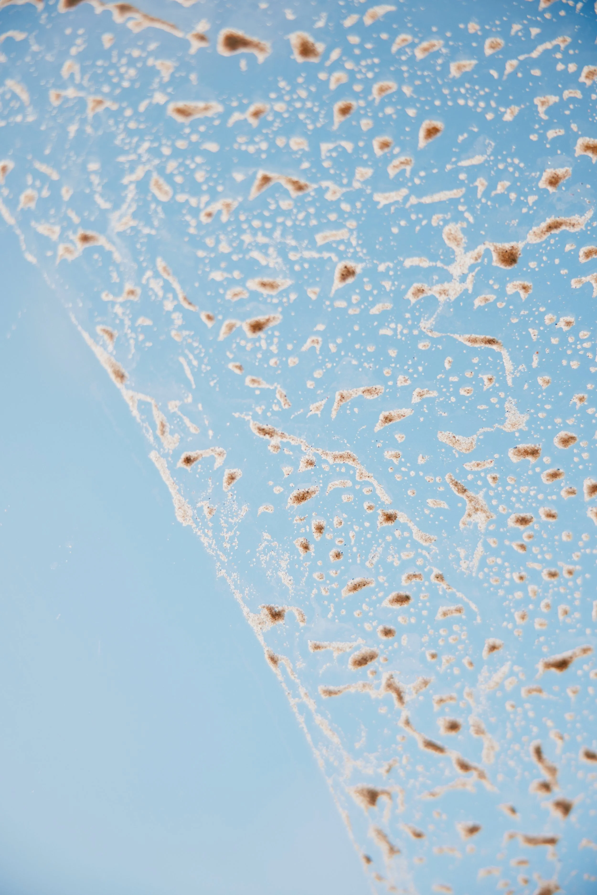 STEPT_GEARJUNKIE_ATLAS_4RUNNER 7(1).jpg