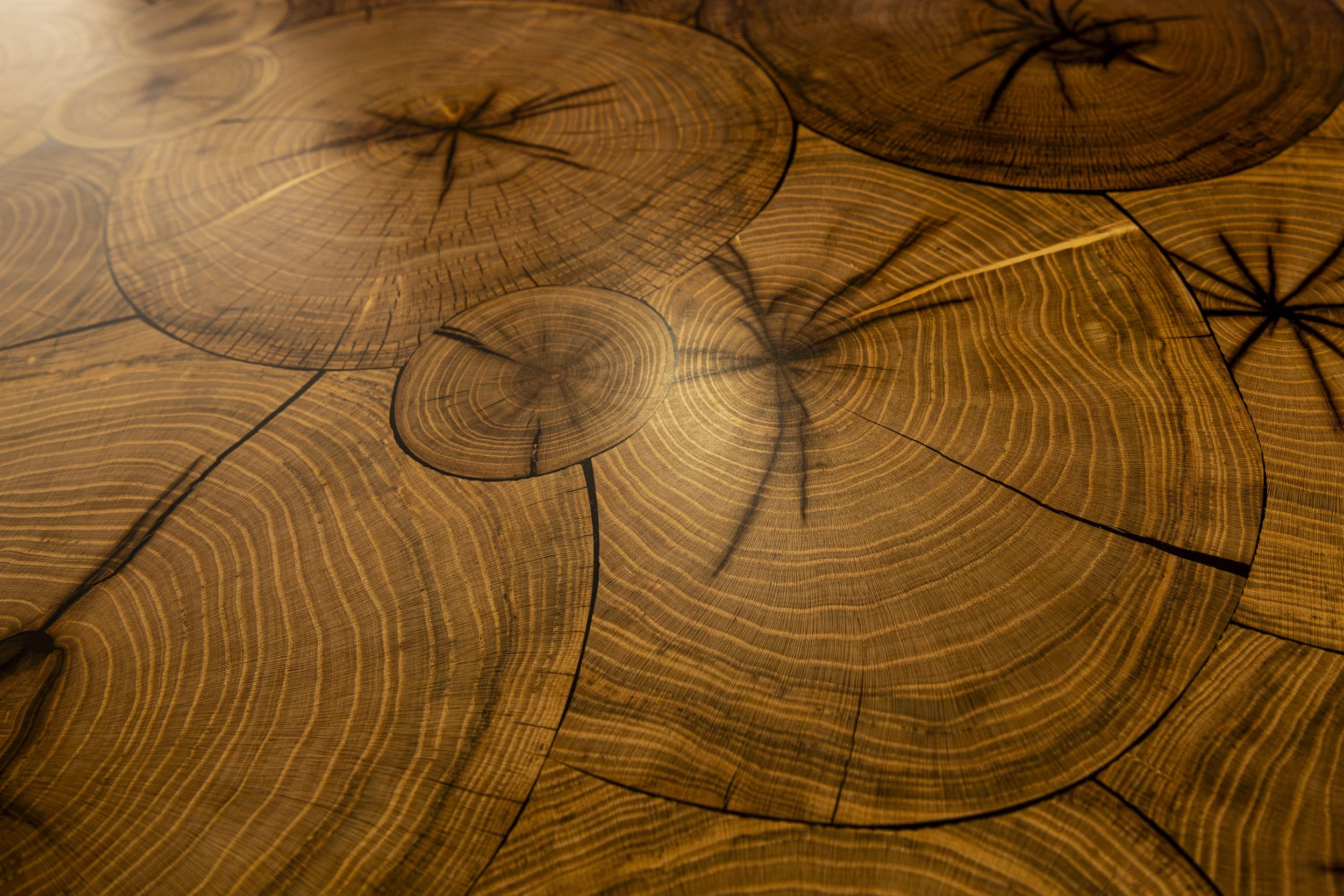 Chonkly custom designs-147.jpg