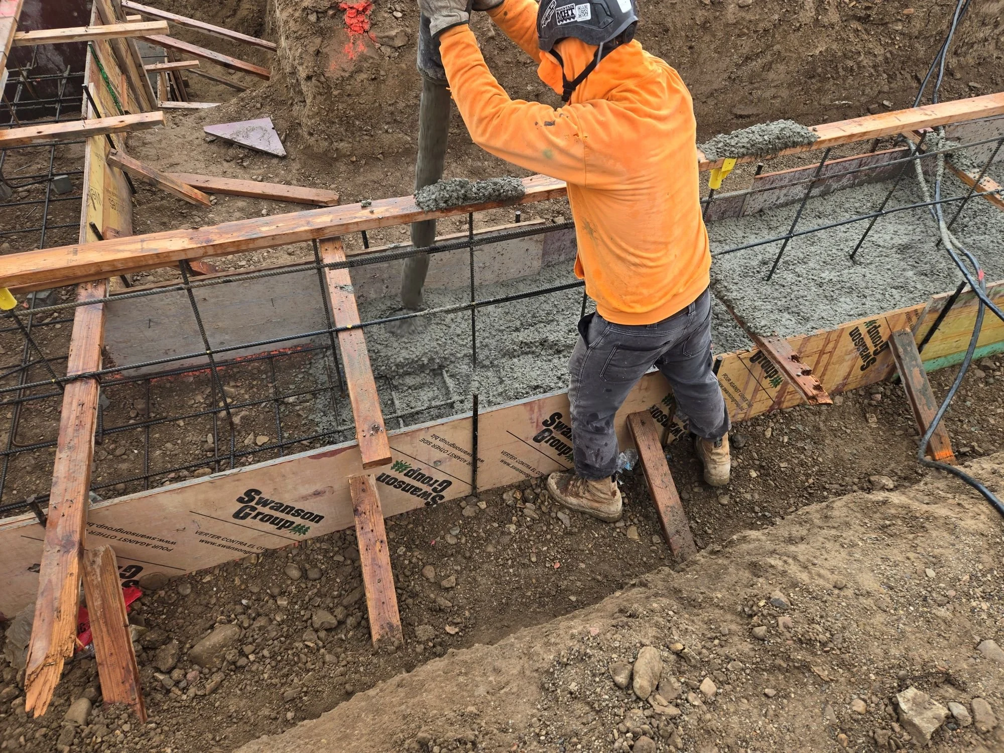 DB 1-2026-0216-03.jpg