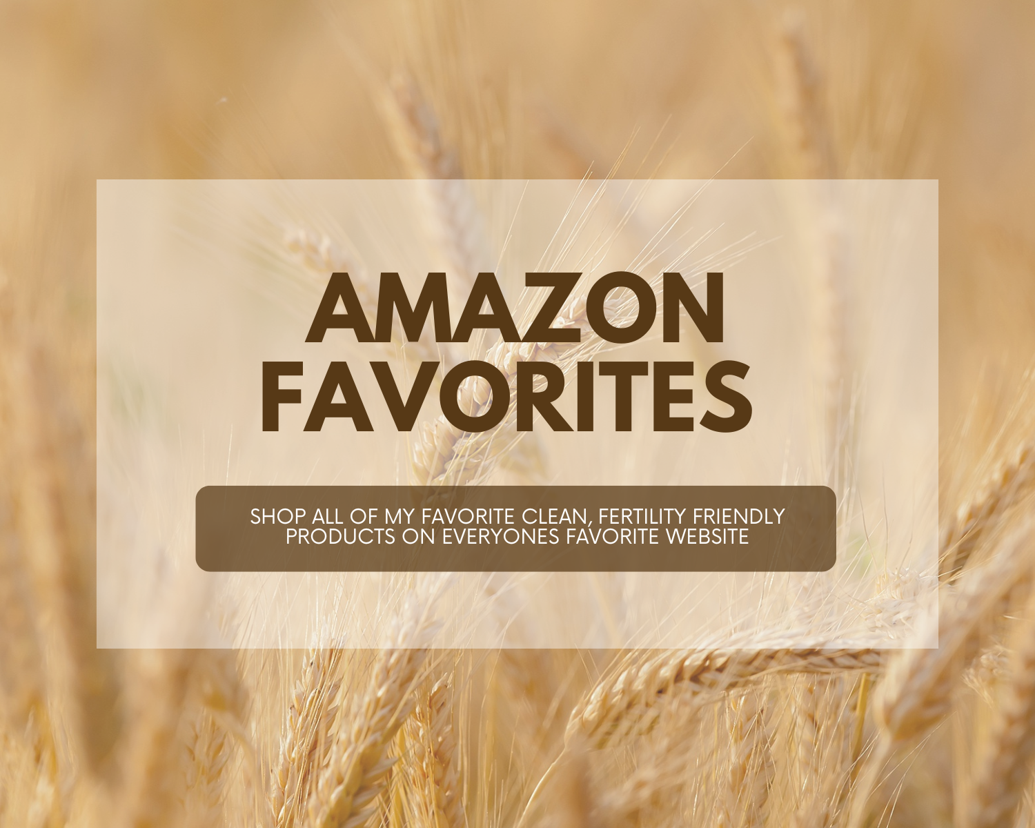Amazon Favorites