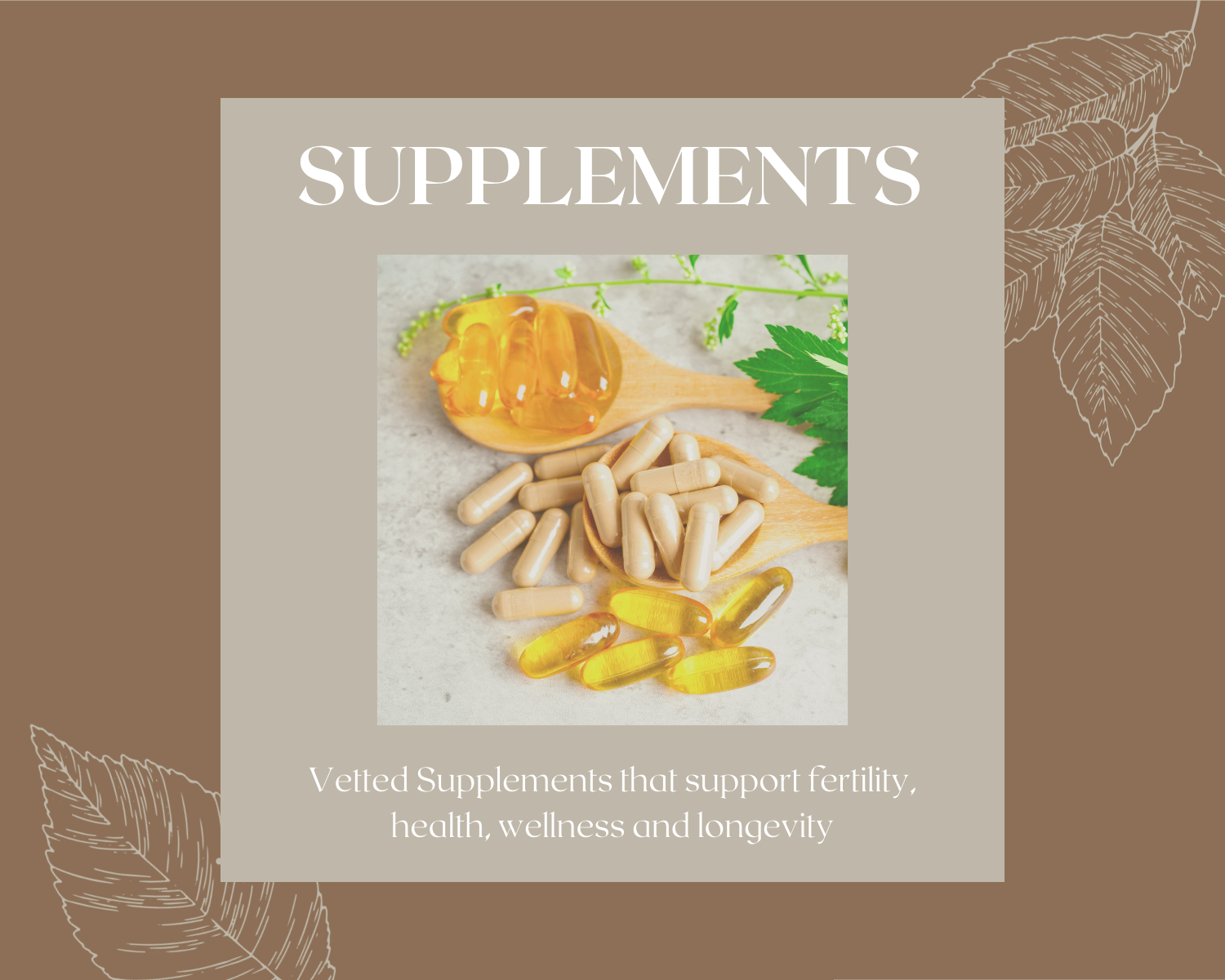 Vetted Supplements that support fertility, health, wellness and longevity