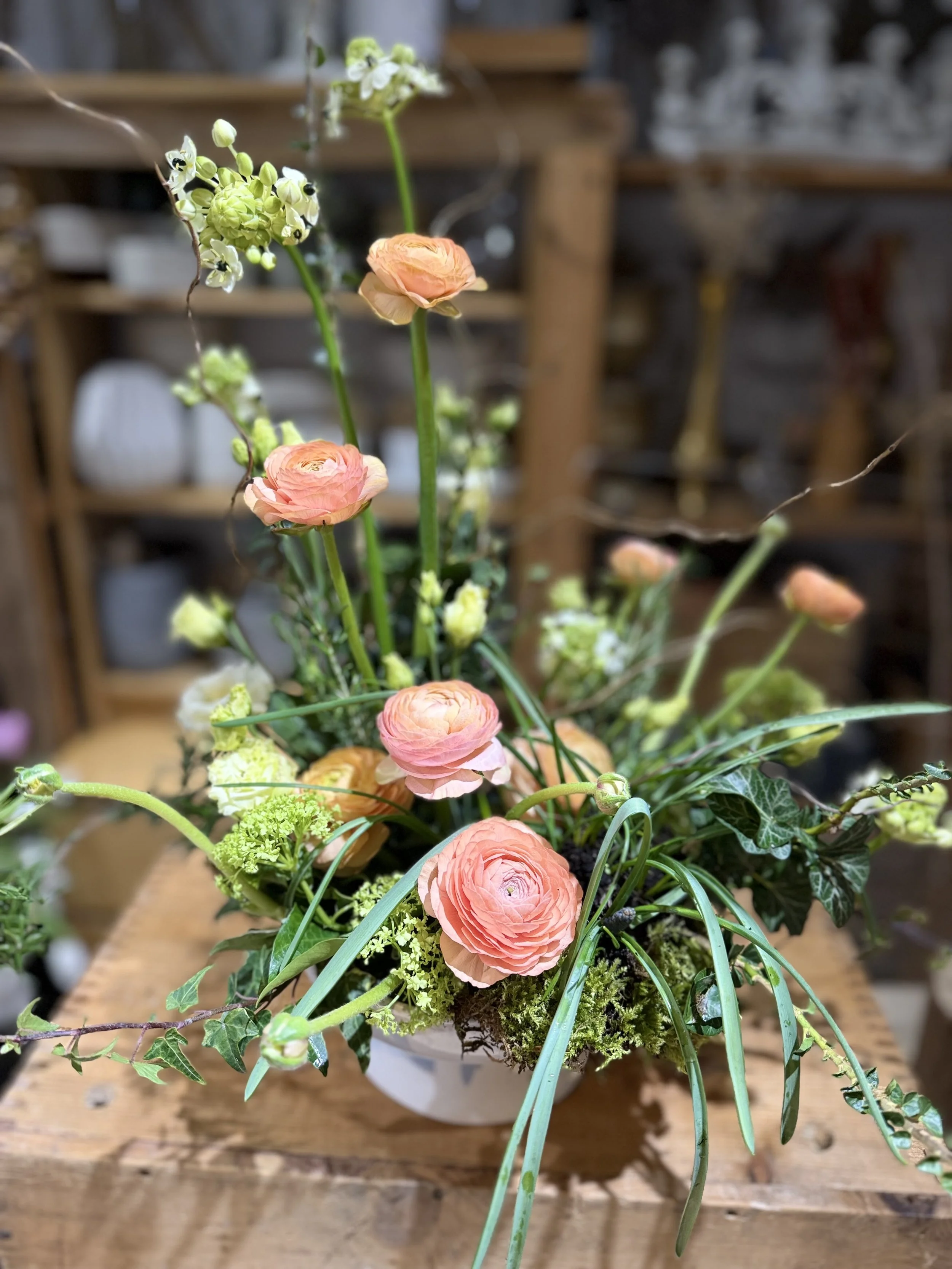 Mar 22nd 2026 - Bulbs &amp; moss Spring arrangement 