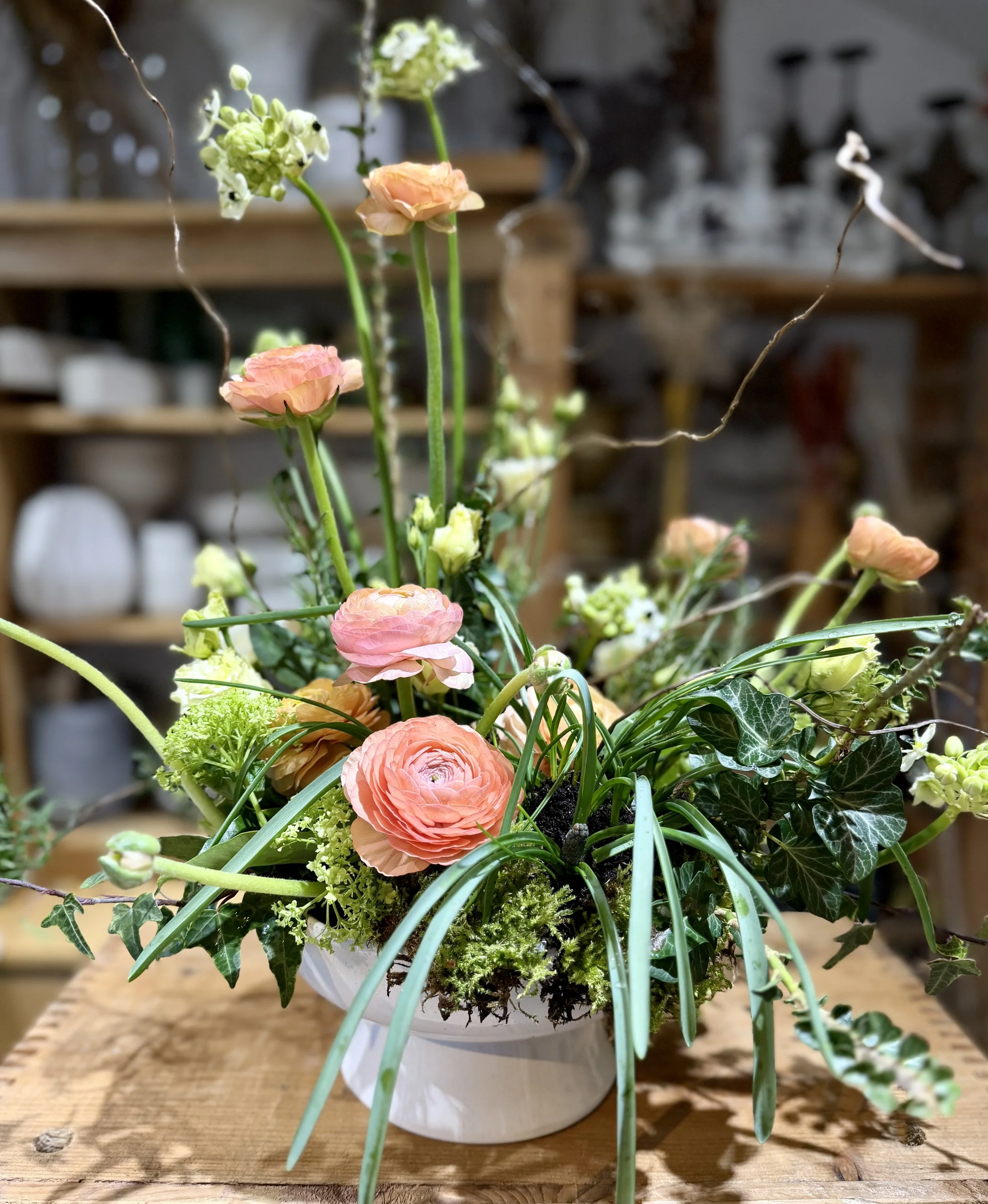 Mar 22nd 2026 - Bulbs & moss Spring arrangement