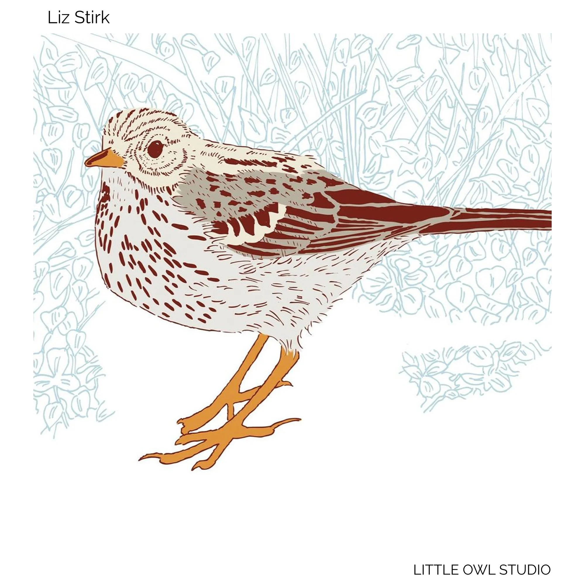 An illustration of a bird with its wings spread open, showing a detailed face with expressive eyes and a heart-shaped pattern on its chest, set against a textured, light blue background. By Liz Stirk