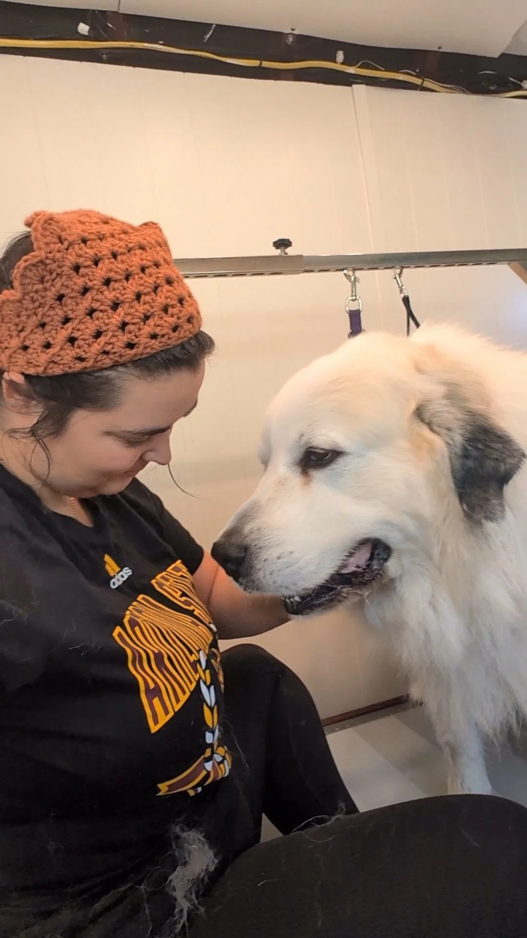 A mobile groomer sitting and petting a large Great Pyrenees. The woman and dog are close to each other, and the woman is looking down while the dog is looking toward her. The dog appears to be gentle and calm. Groomed by Pawsh Paws Mobile Grooming