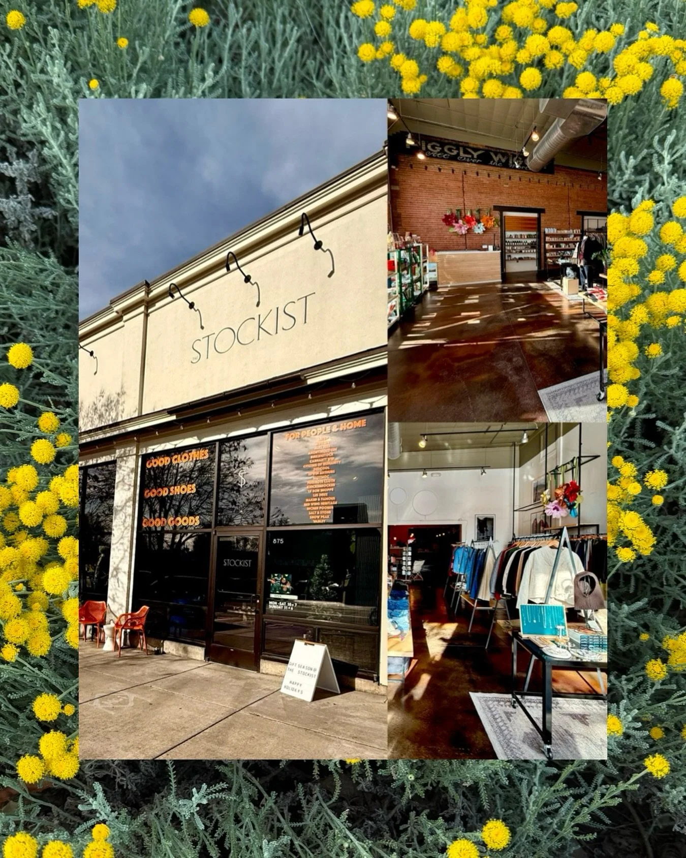 you can now shop DDJ at @the.stockist.shop 😍 I am so grateful to have my pieces in local shops and to be part of the 801 community 🤎