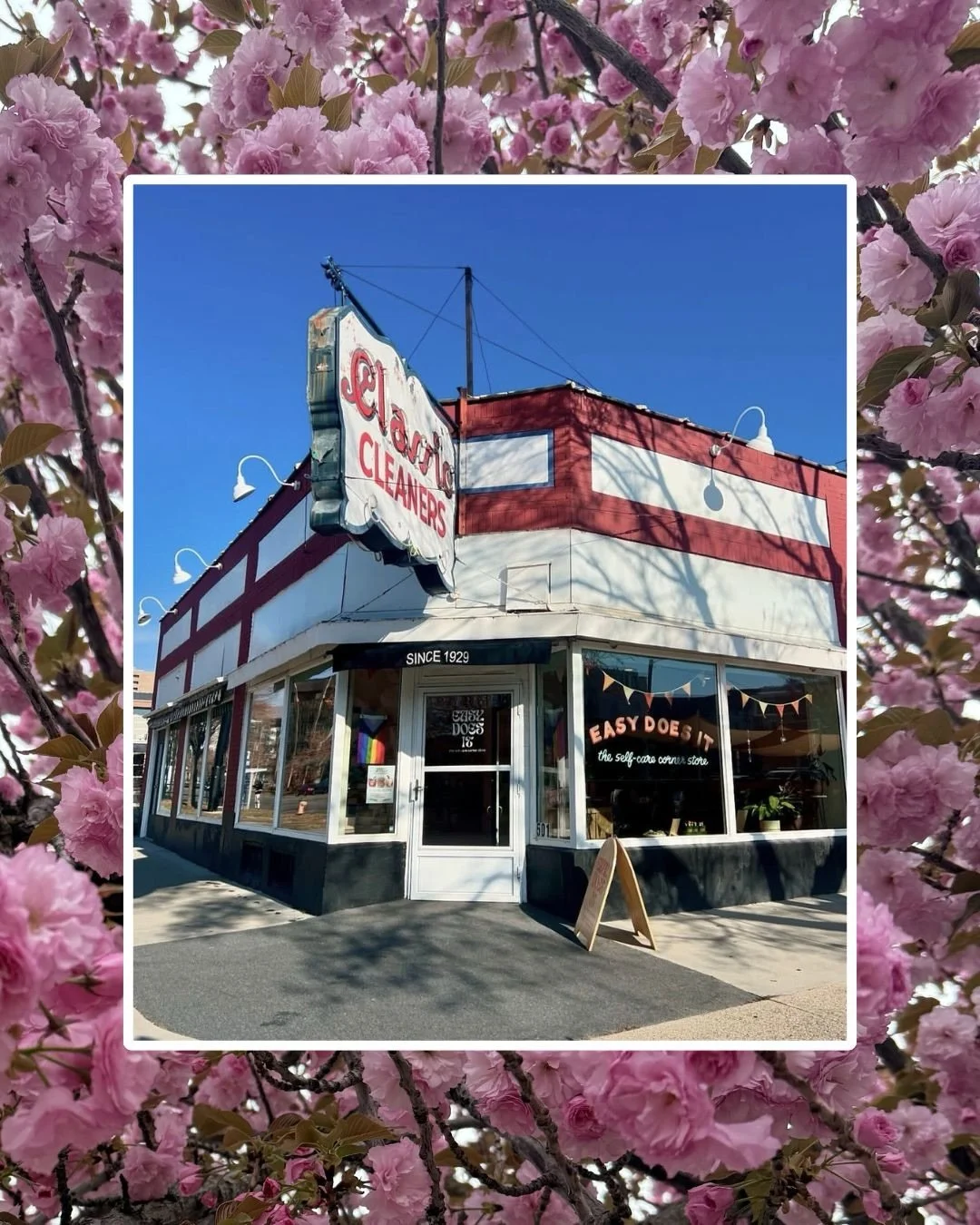 DDJ is now at @easydoesitbabe ! stop by and shop this truly ✨ beautiful ✨ corner store &mdash; make sure to grab a sandwich from @budsslc too &mdash; and you&rsquo;ve got yourself the perfect afternoon 💕