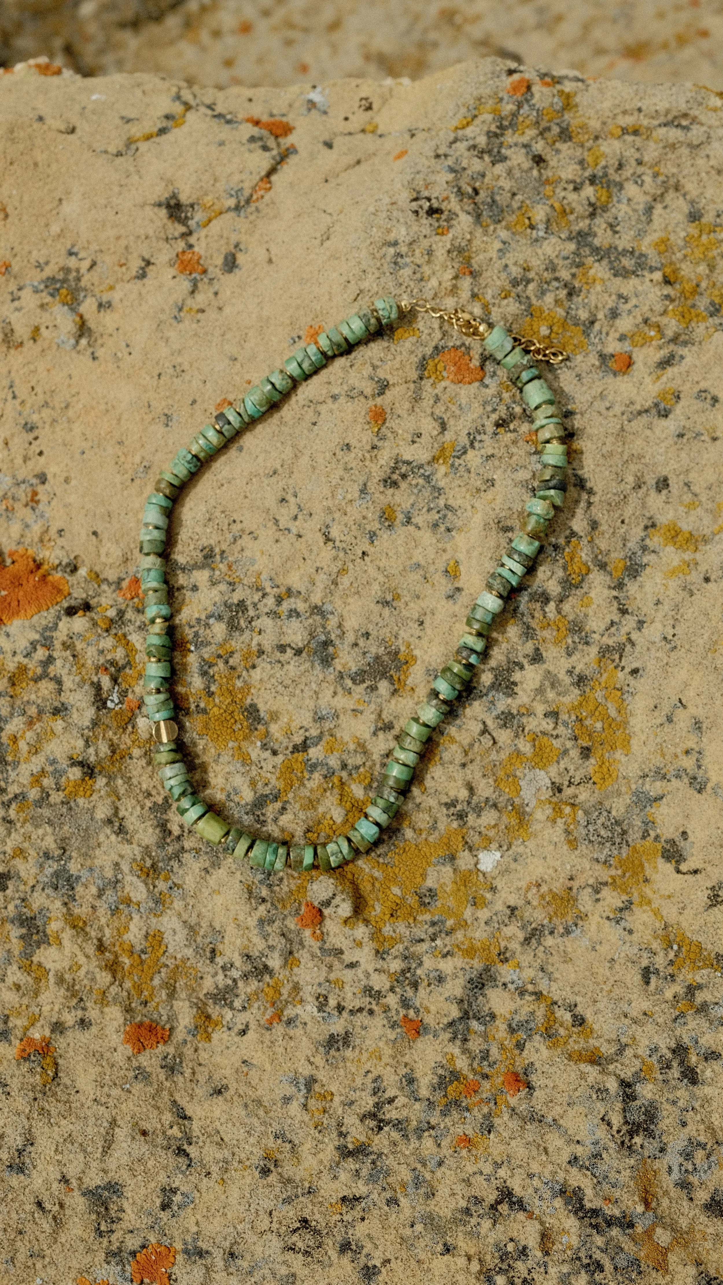DSCF3150.jpg