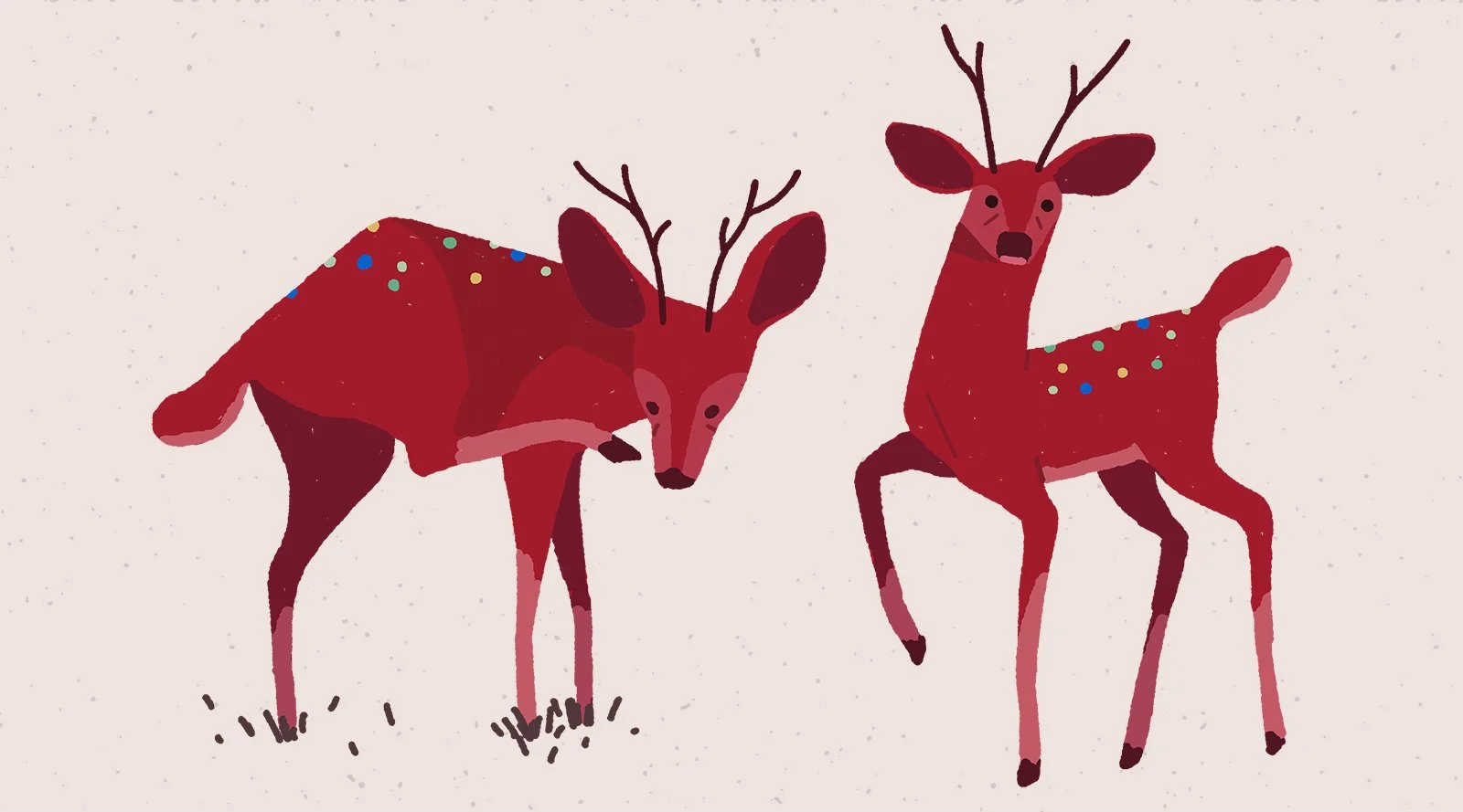 red_deer.jpg