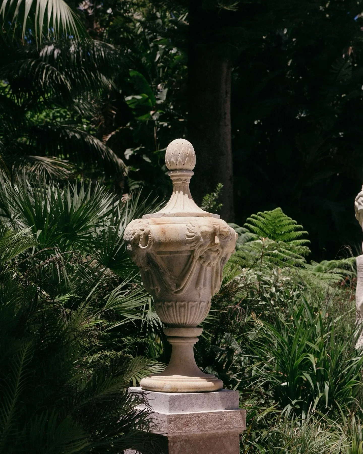 Whispers of Portugal 🌿

Grateful for this summer, for time back home in Spain and for returning to beloved places.

There&rsquo;s something indescribable about wandering places that have stood for centuries. It feels like walking inside of a story t