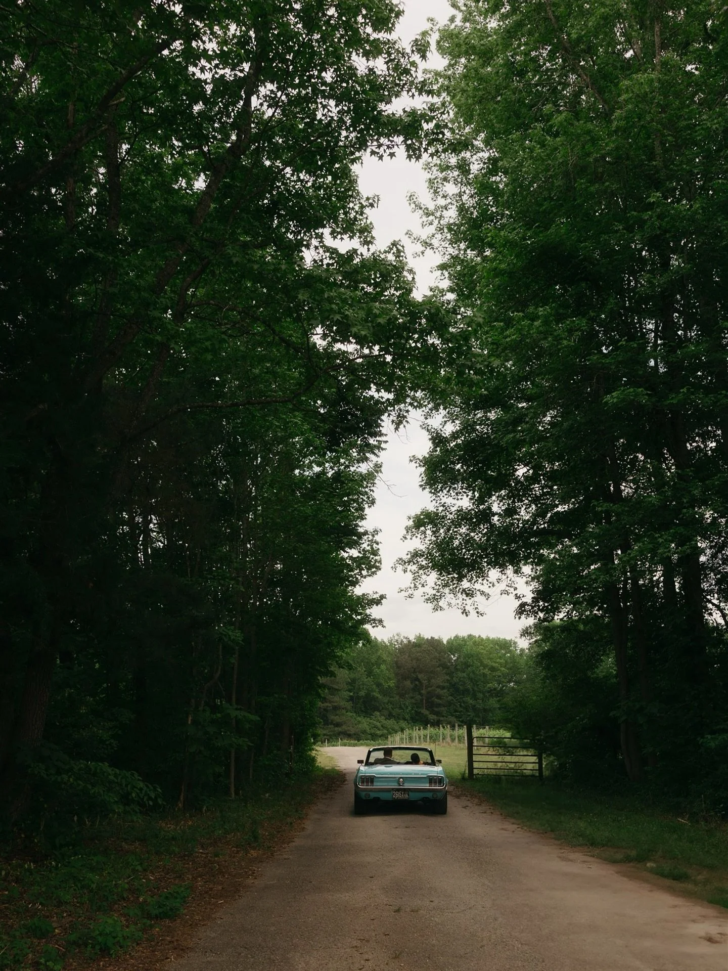 On the road to forever 

Second shooting for @wearethejoycollective_ 

.
.
.
#virginiaweddingphotographer #virginiaelopementphotographer #virginiaisforlovers❤️ #virginiabeachphotographer #virginiabeachweddingphotographer #virginiabeachelopement #rich