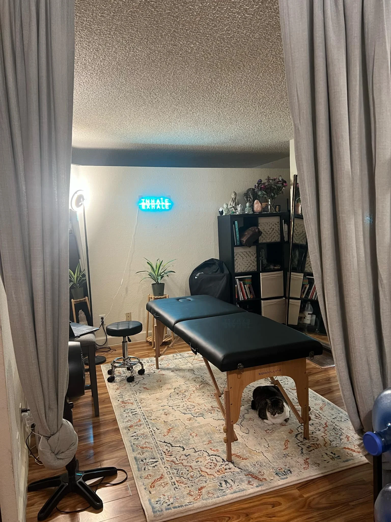 A room with a massage table, a cat underneath, a bookshelf, neon sign, and various decorations and plants.