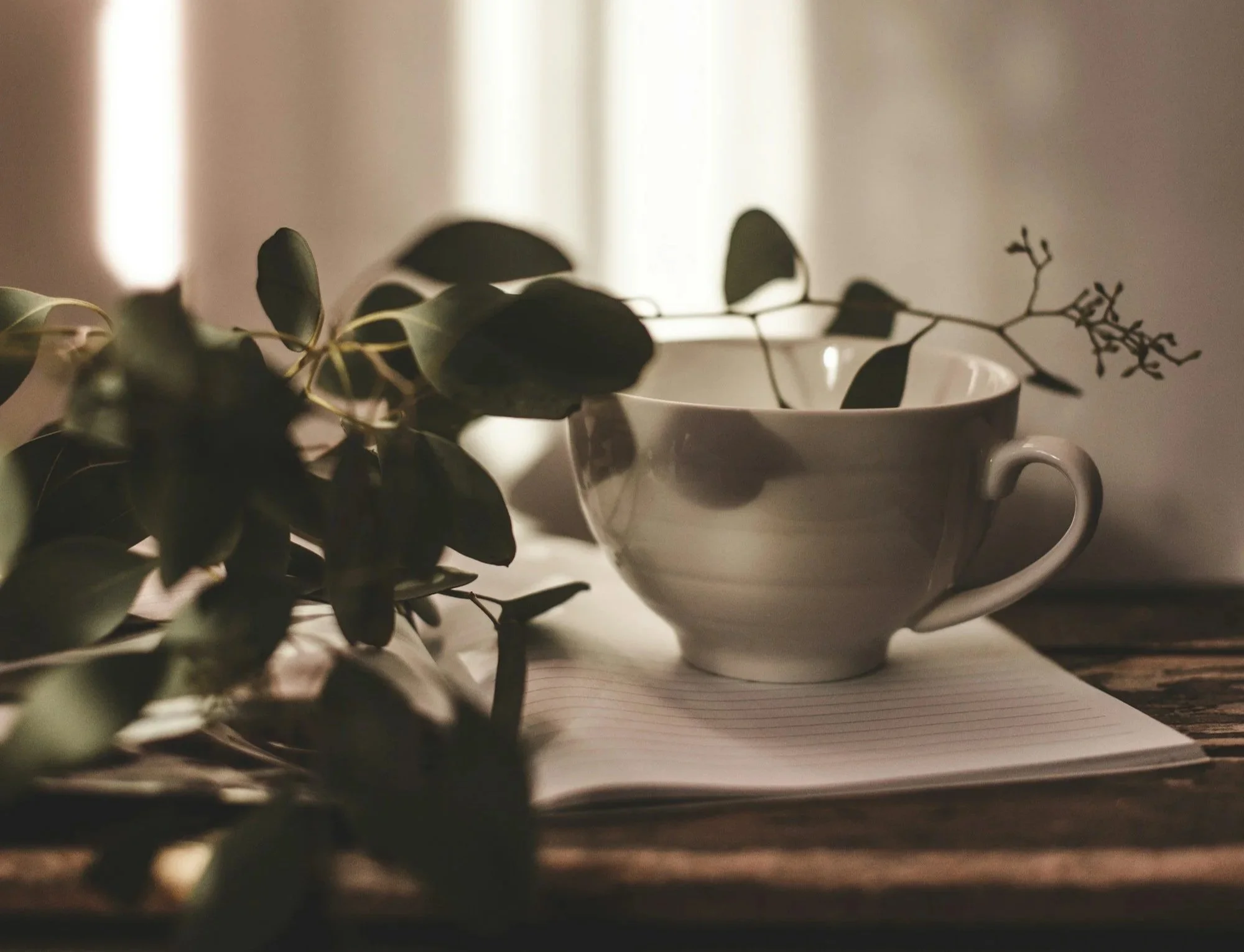 virtual brainspotting therapy