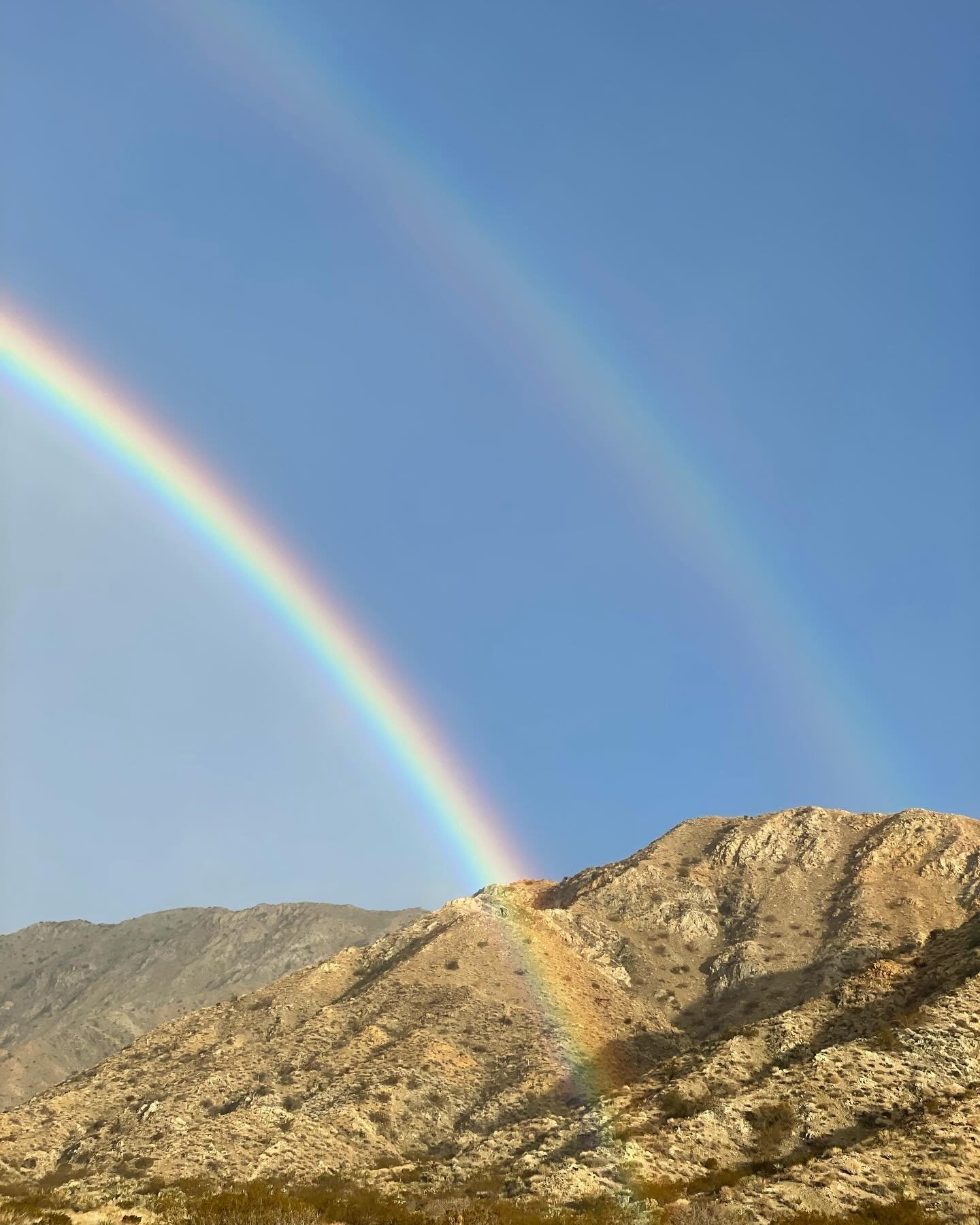 Just one of the many magical moments at my ranch in Morongo Valley where I host Sacred Woman Collective retreats and circles as well as mushroom journeys 🌈