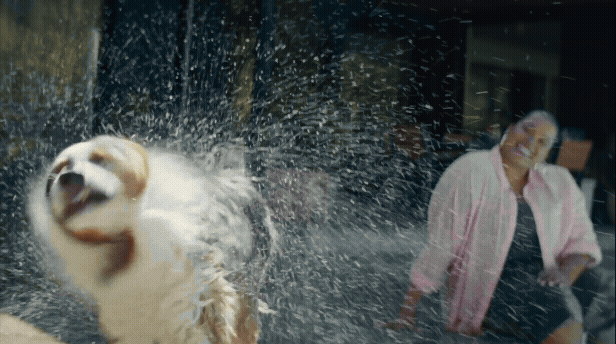 anthem trim (1).gif