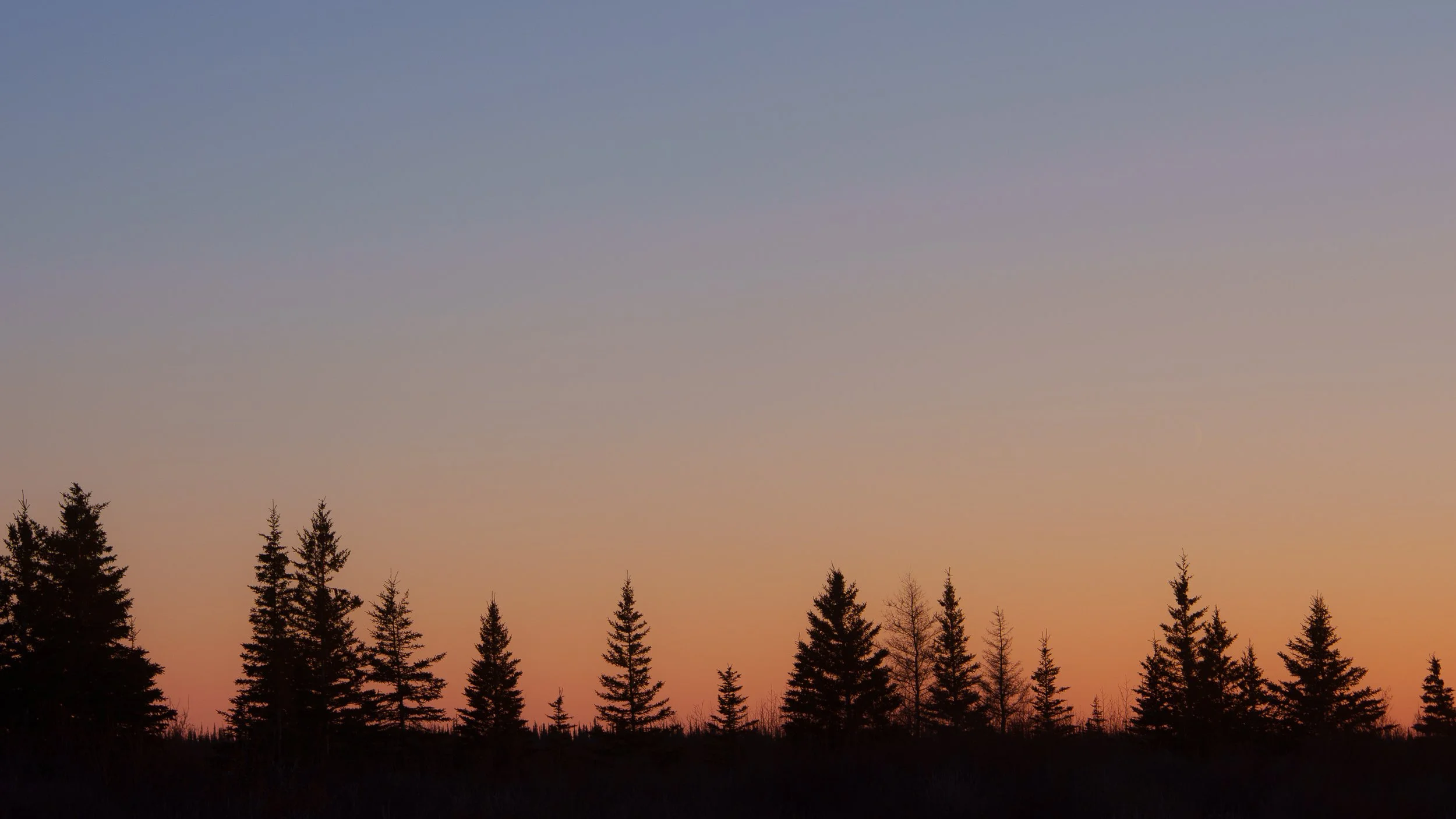 77.8750° N, 20.9752° E