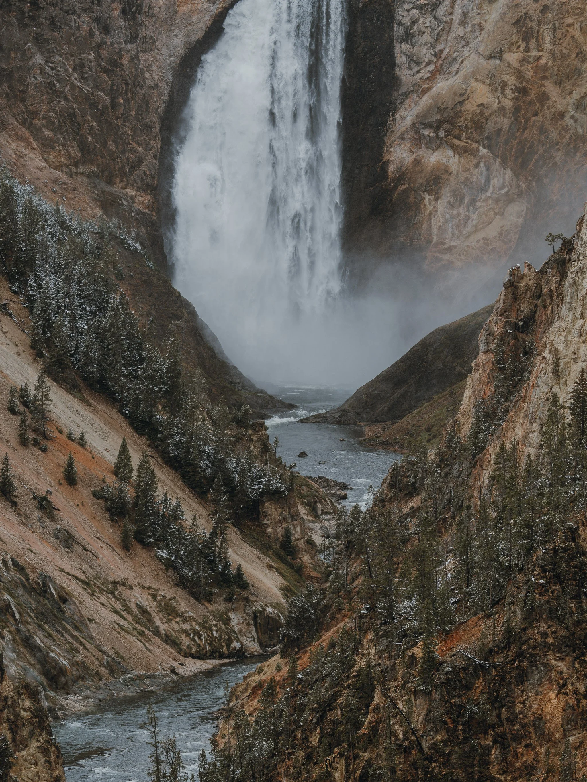 Gran Teton's snow-capped peaks in the background, dense green forest in the middle, and a winding stream flowing through a lush green meadow in the foreground.
